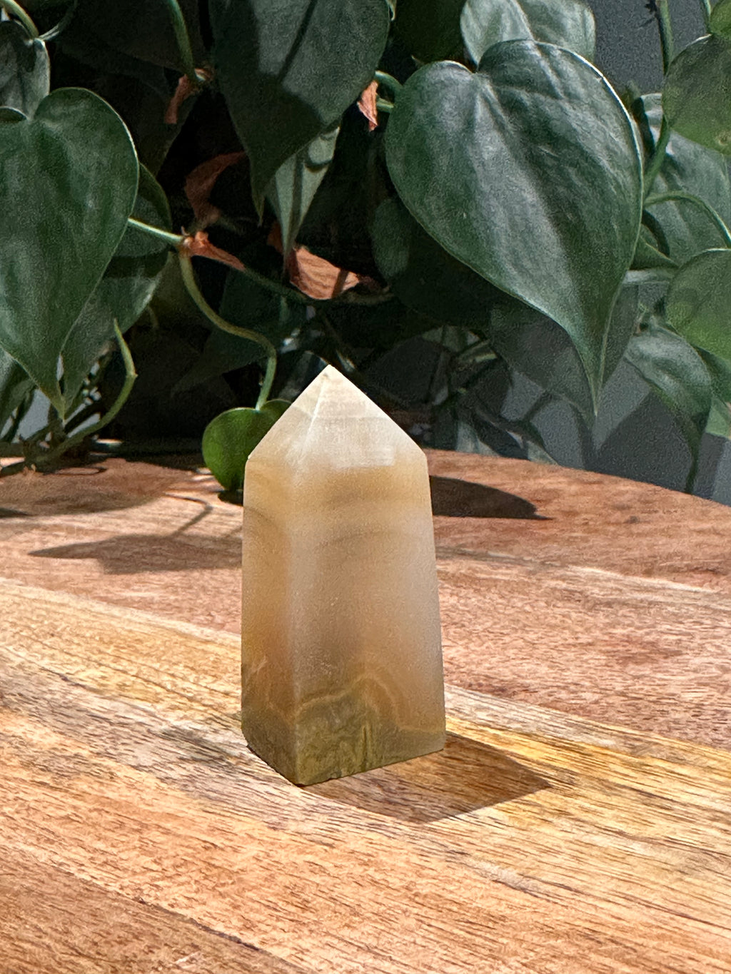 Bumblebee Jaspis Toren