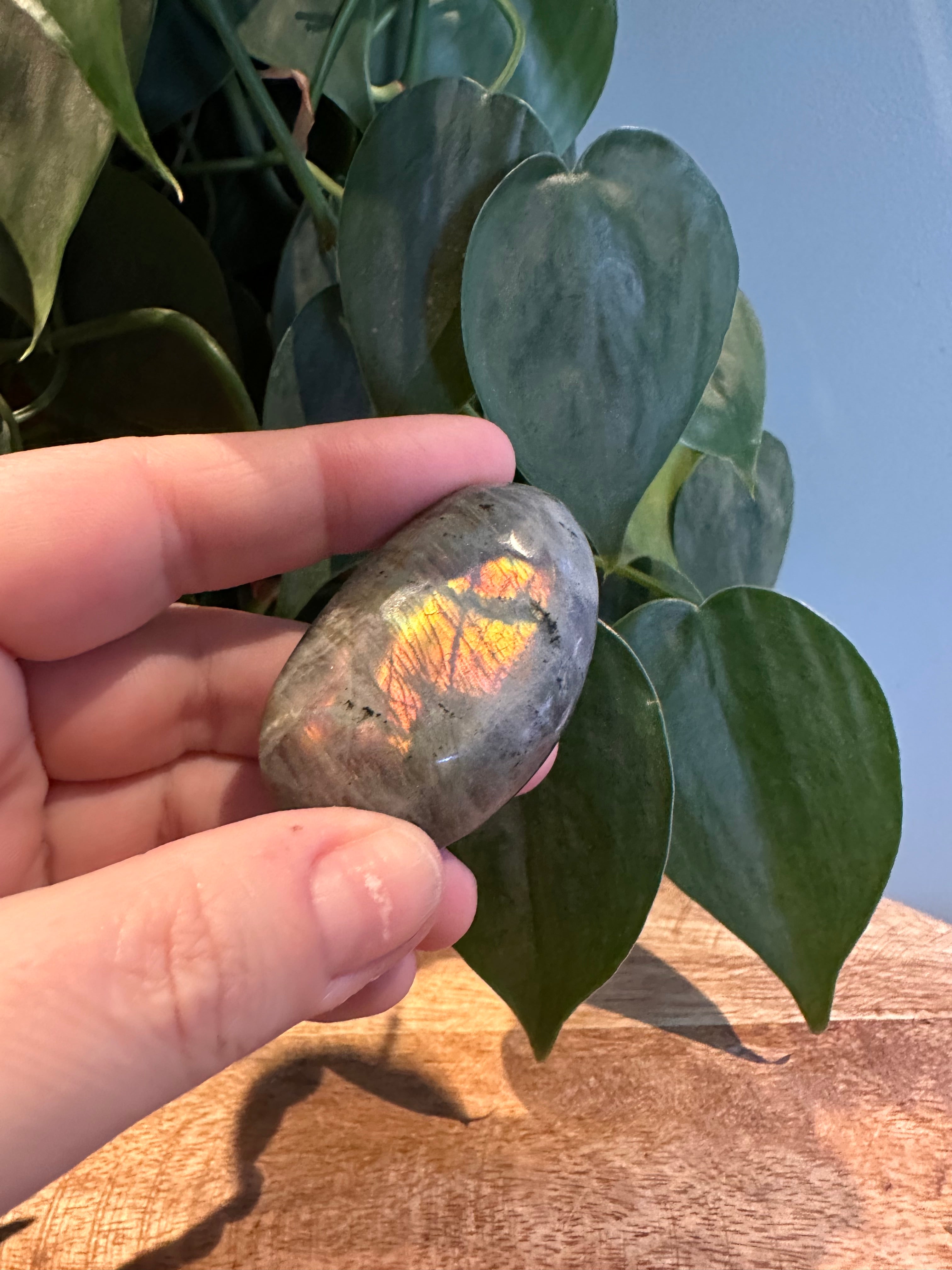 Labradoriet Palmsteen roze Flash