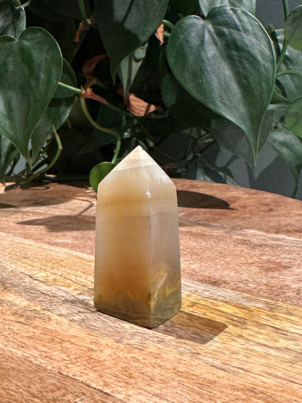 Bumblebee Jaspis Toren