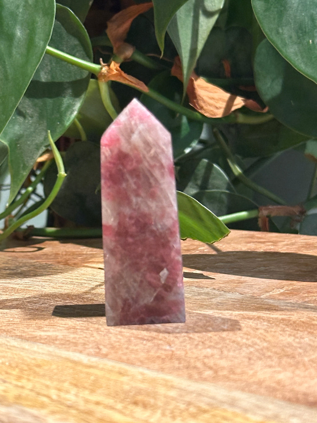 Roze Toemalijn Toren