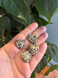 Dalmatiër Jaspis Hartjes Hangertje