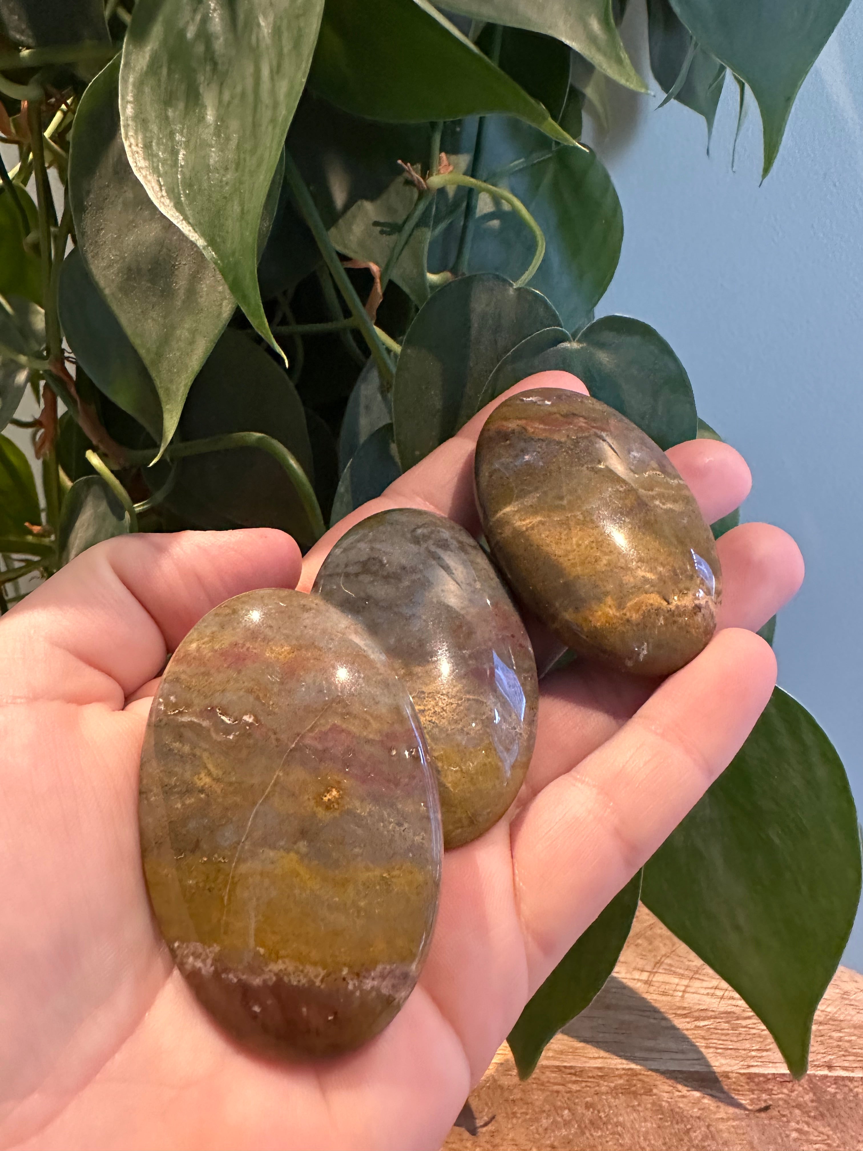 Oceaan Jaspis Palmsteen