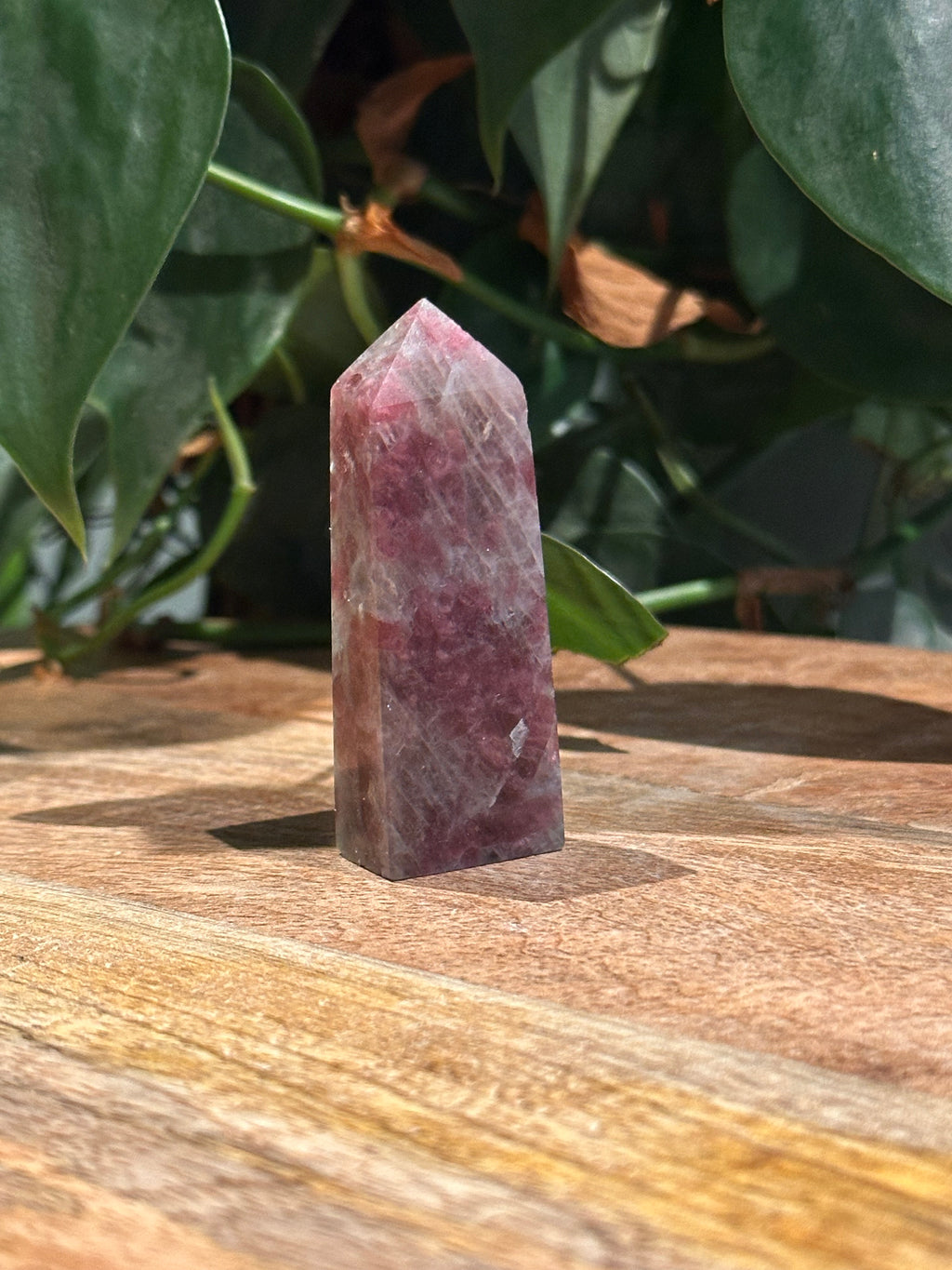 Roze Toemalijn Toren