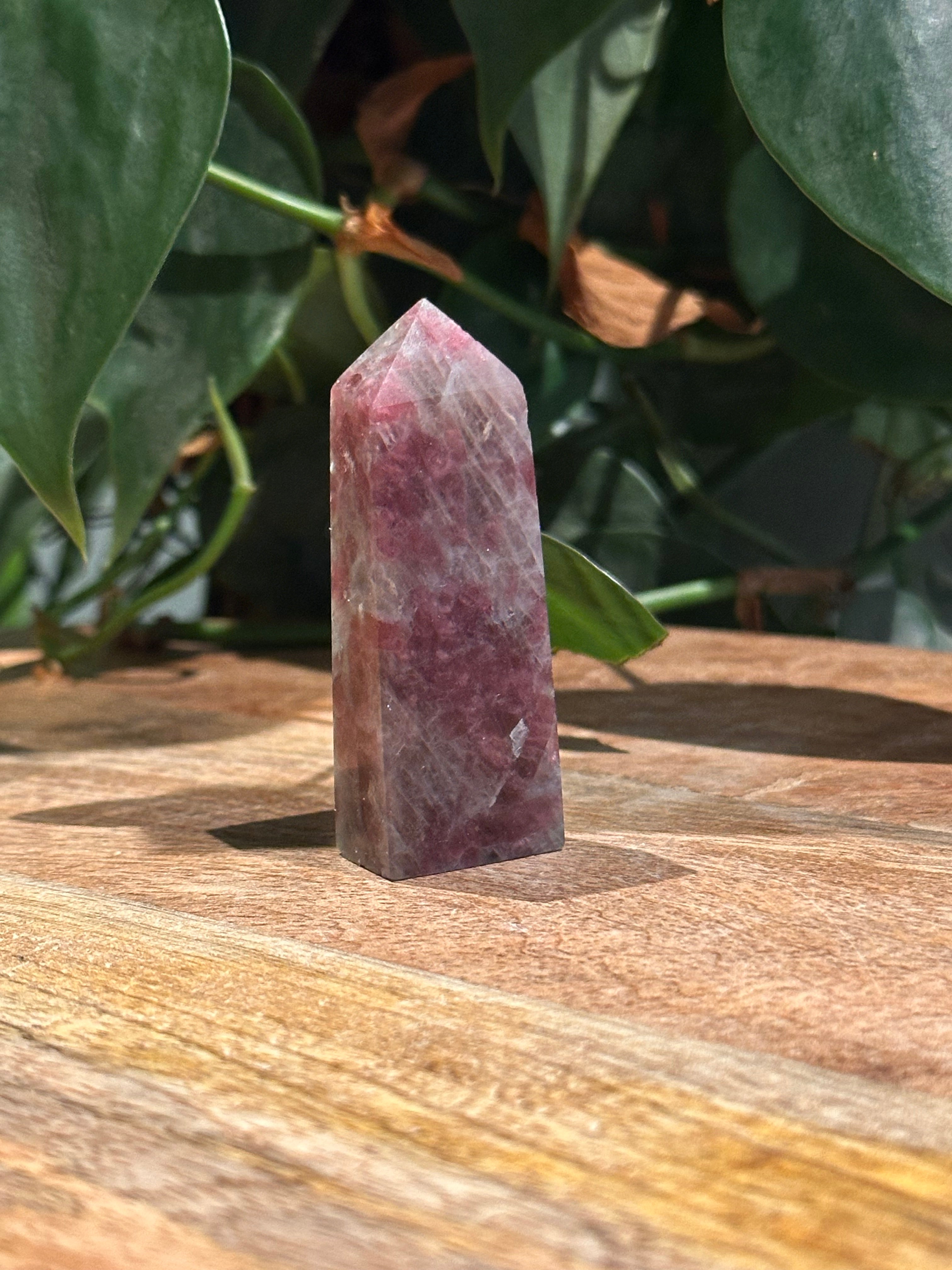 Roze Toemalijn Toren