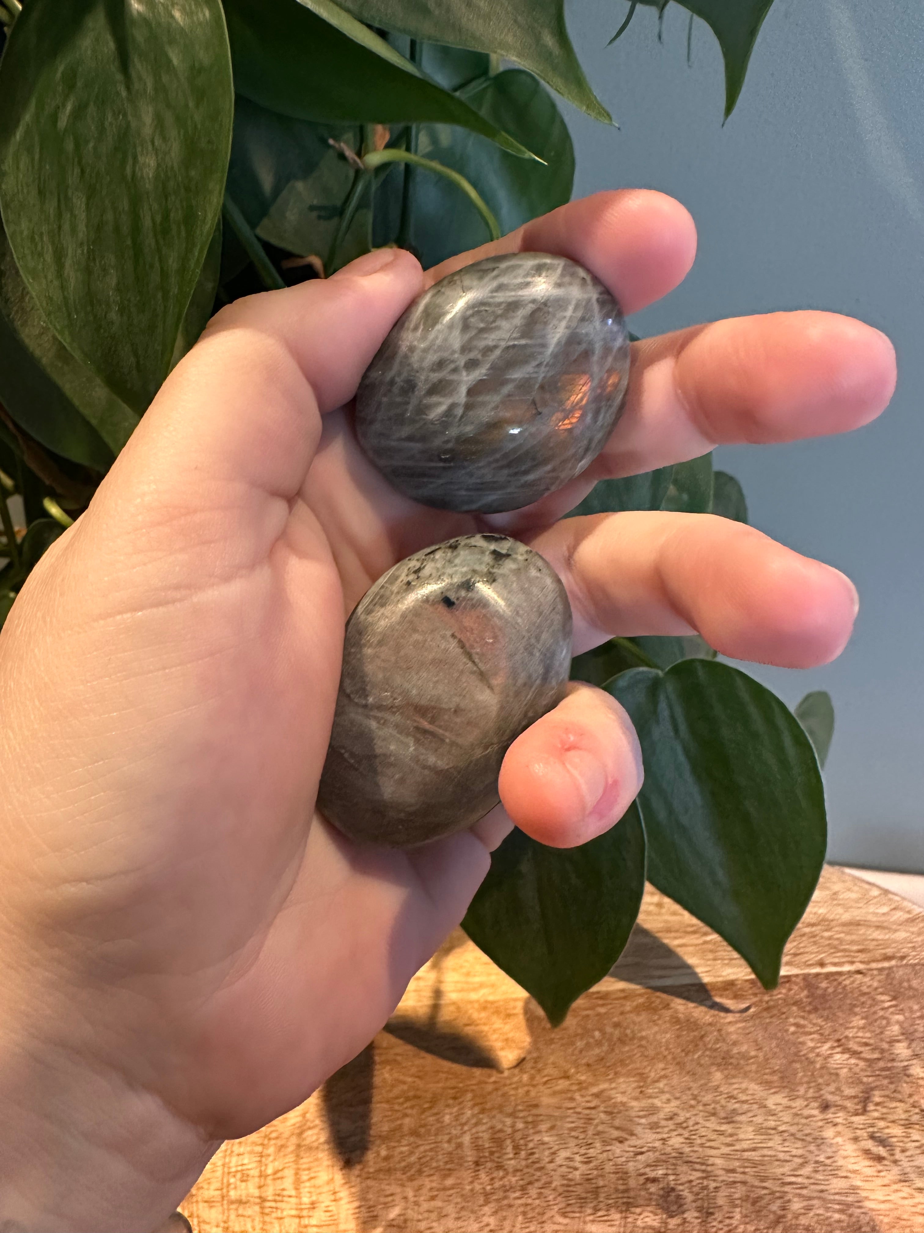 Labradoriet Palmsteen roze Flash