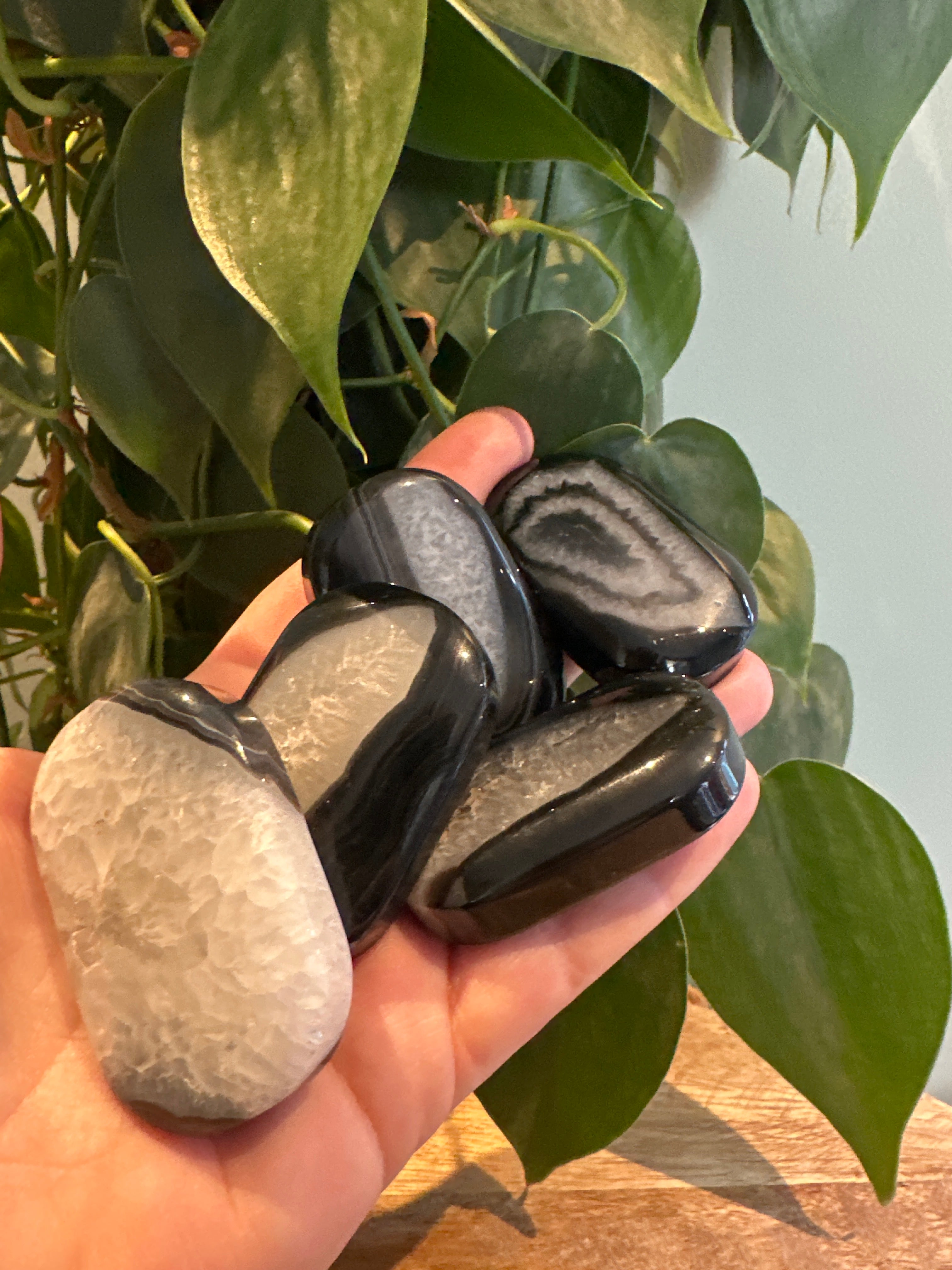 Zwarte Agaat Palmsteen