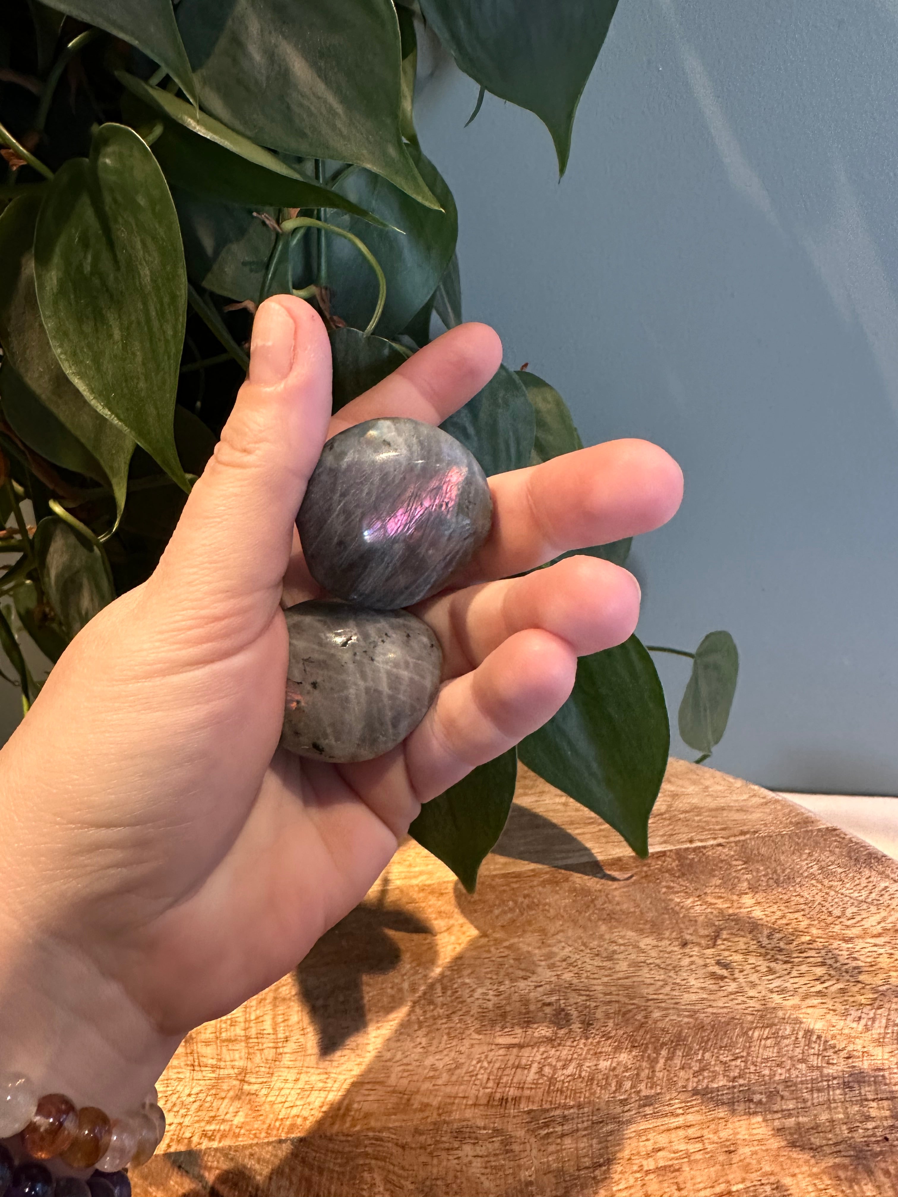 Labradoriet Palmsteen roze Flash