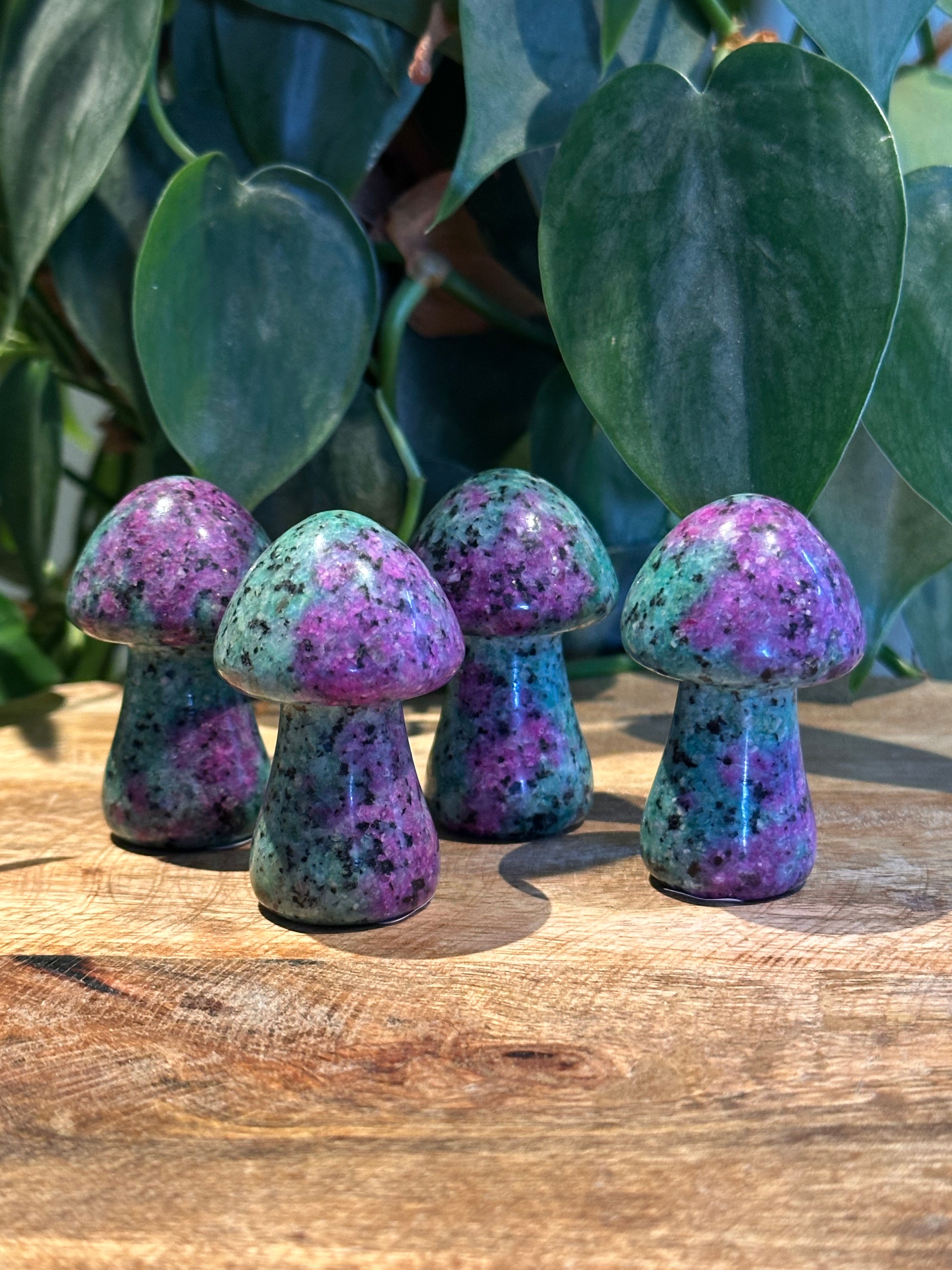 Robijn in Zoisiet paddenstoel