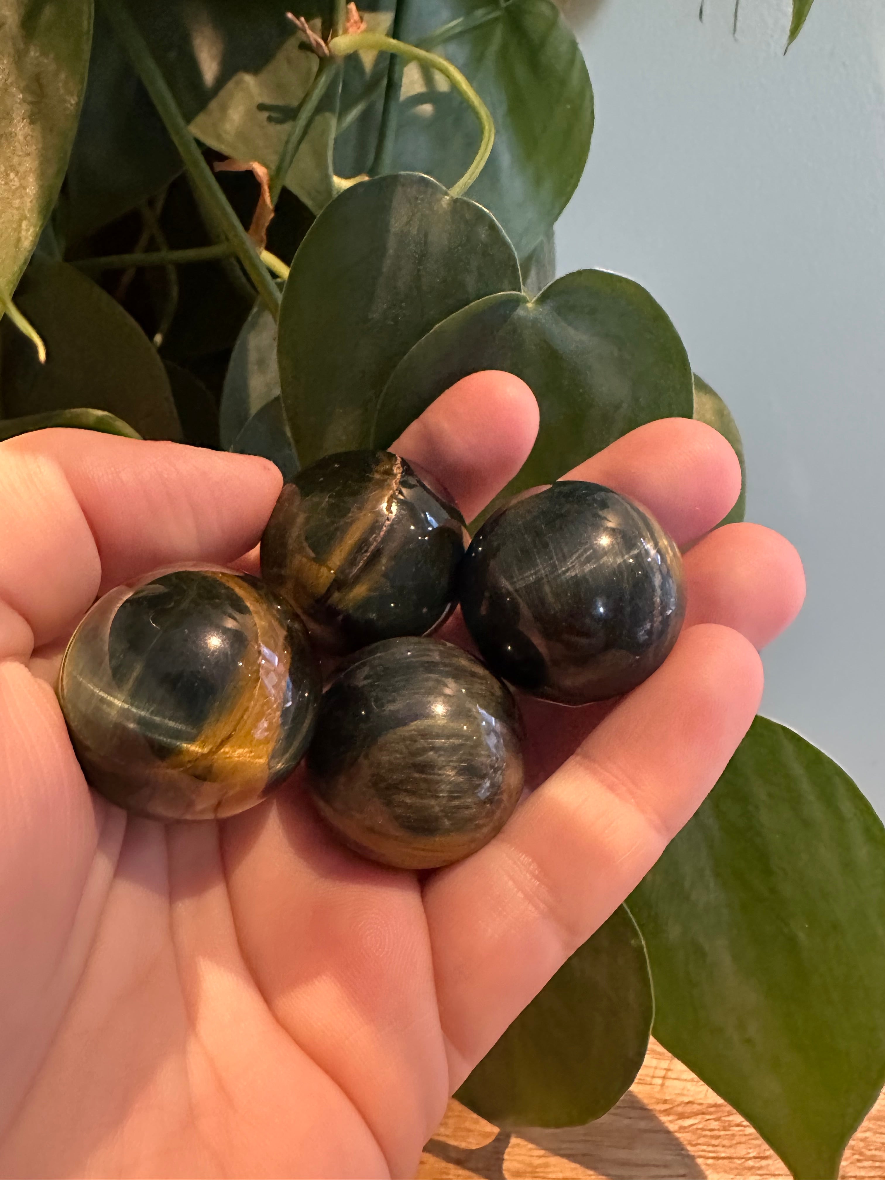 Tijgeroog mix Blauw/geel bol