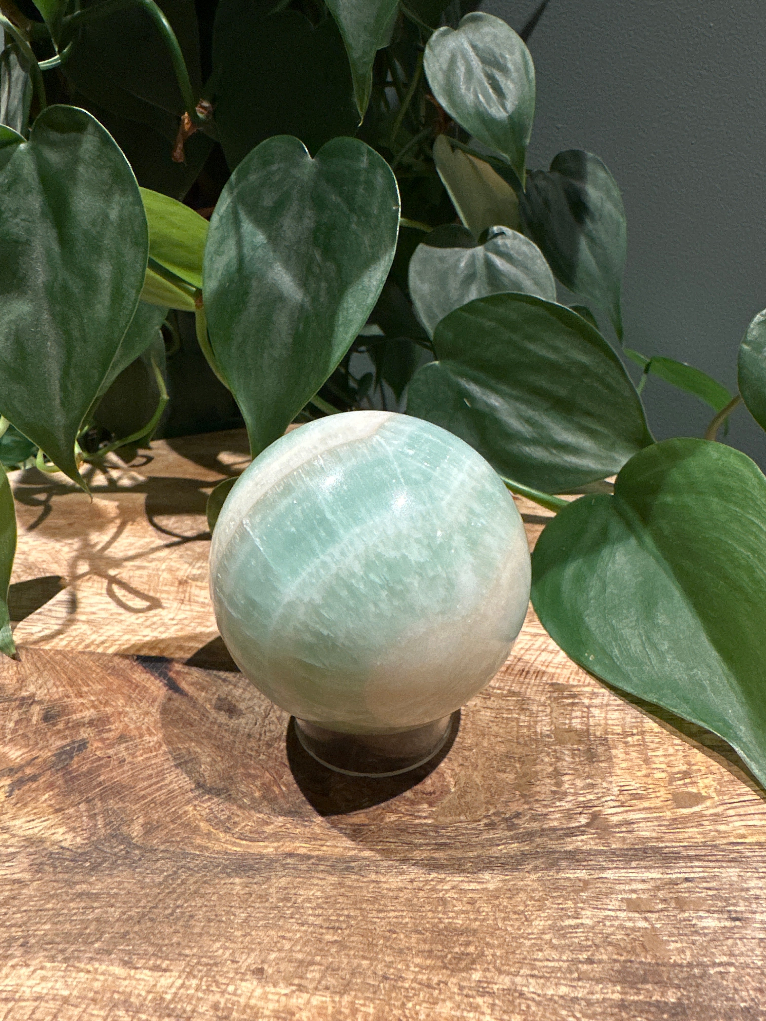 Pistache Calciet Bol