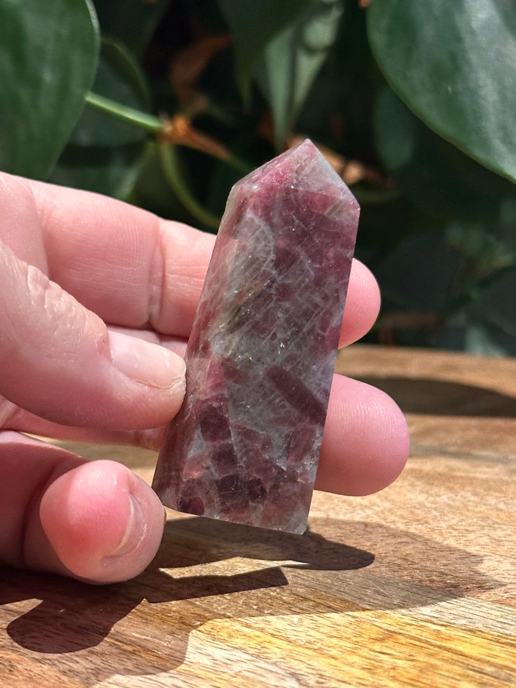 Roze Toemalijn Toren