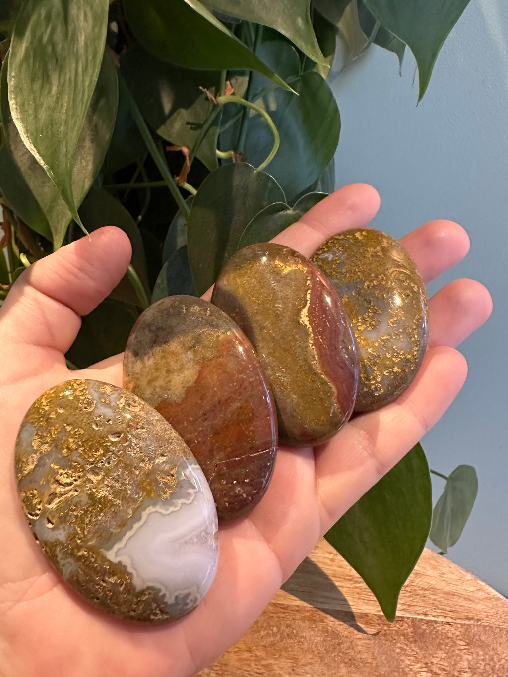 Oceaan Jaspis Palmsteen