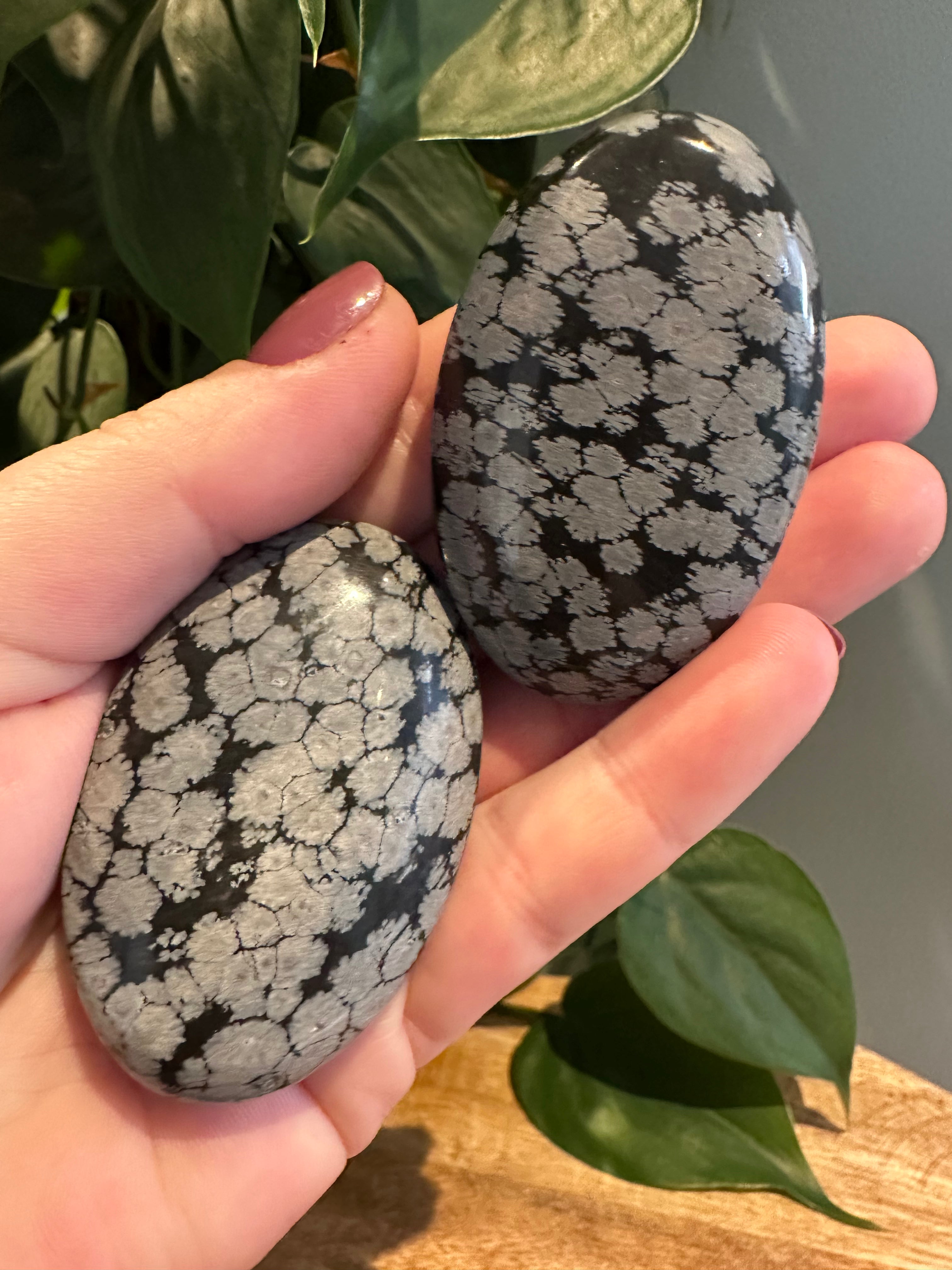 Sneeuwvlok Obsediaan Palmsteen