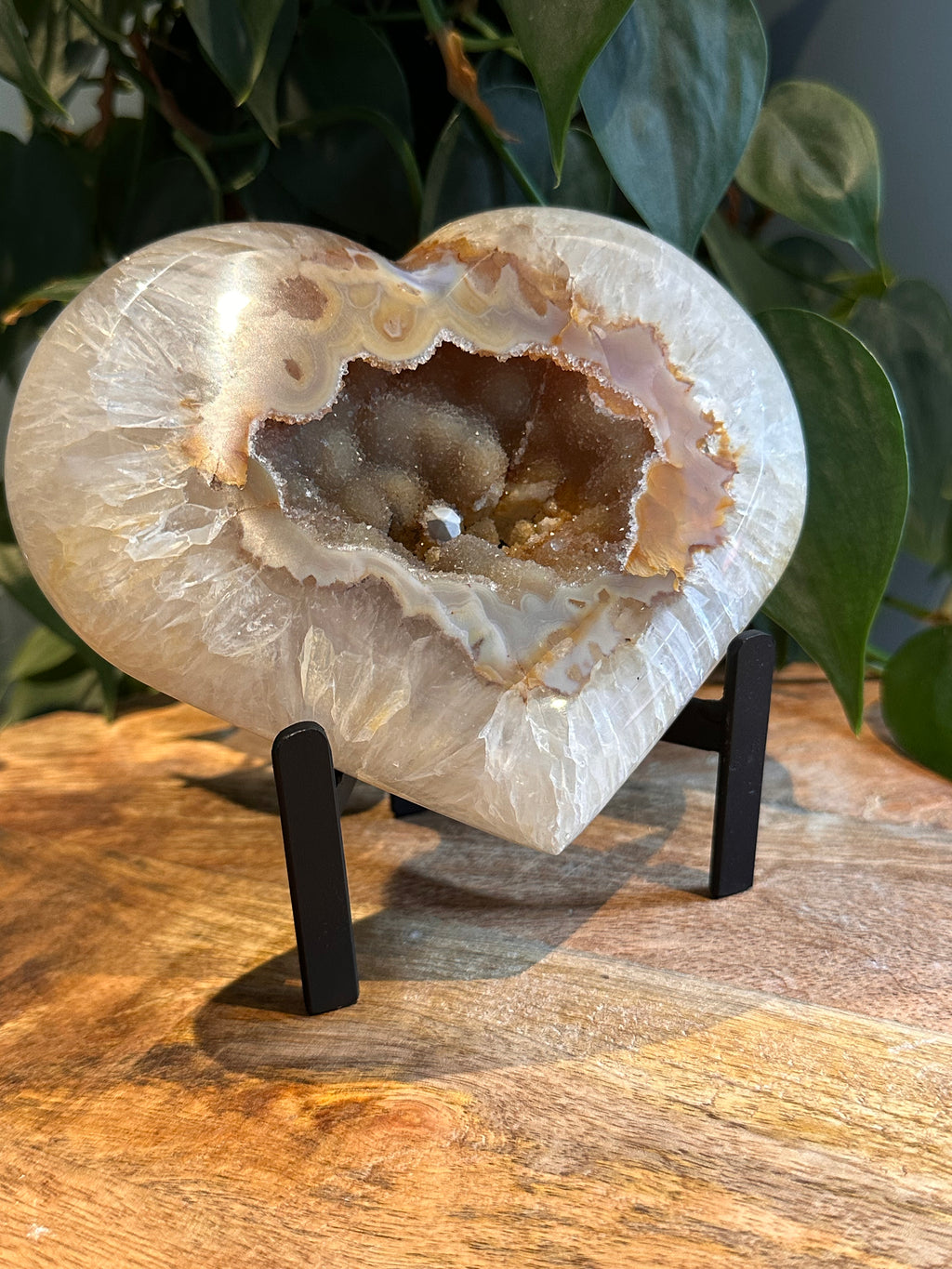 Agaat Hart op Standaard #38