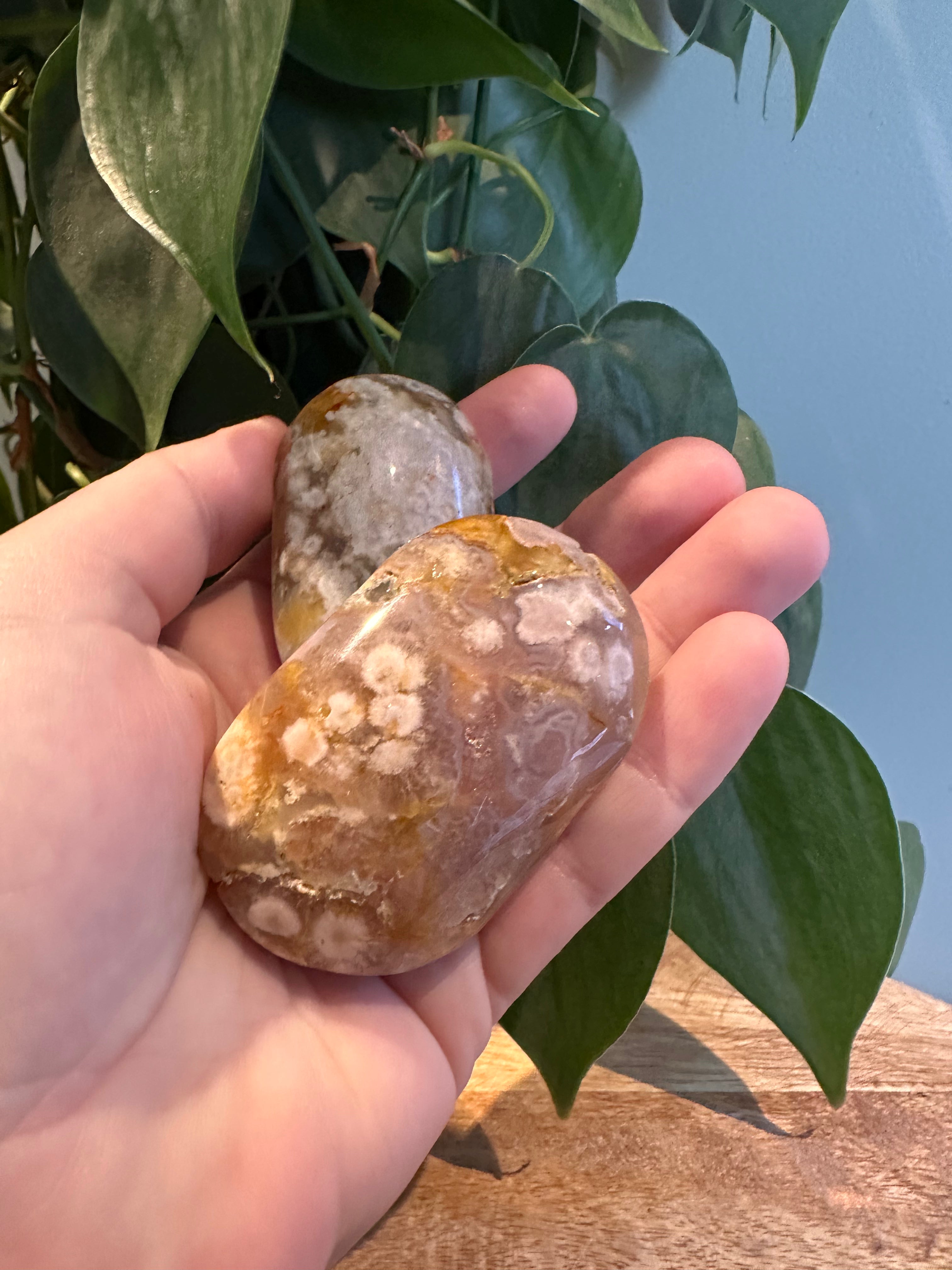 Bloemagaat Palmsteen