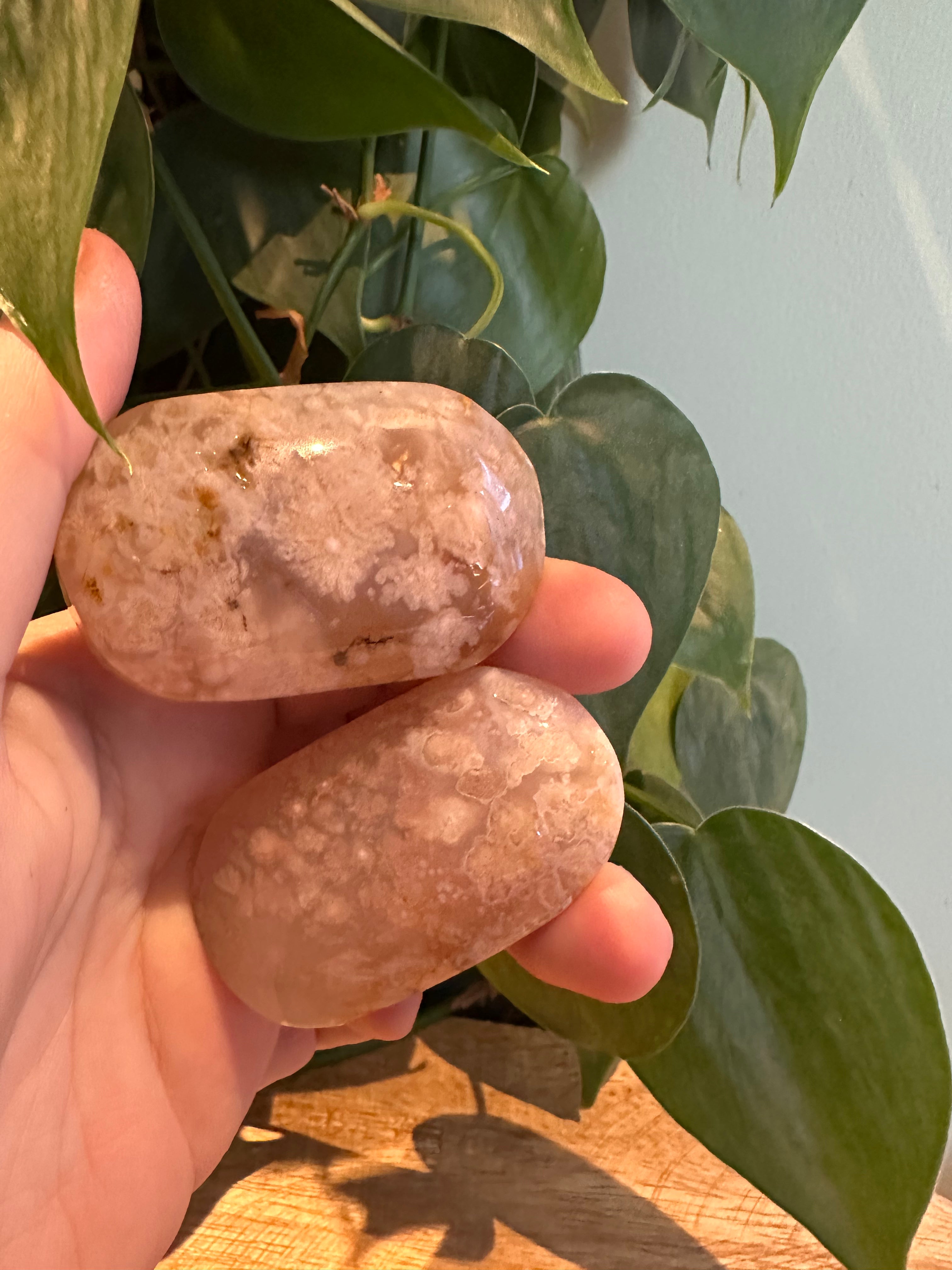 Bloemagaat Palmsteen