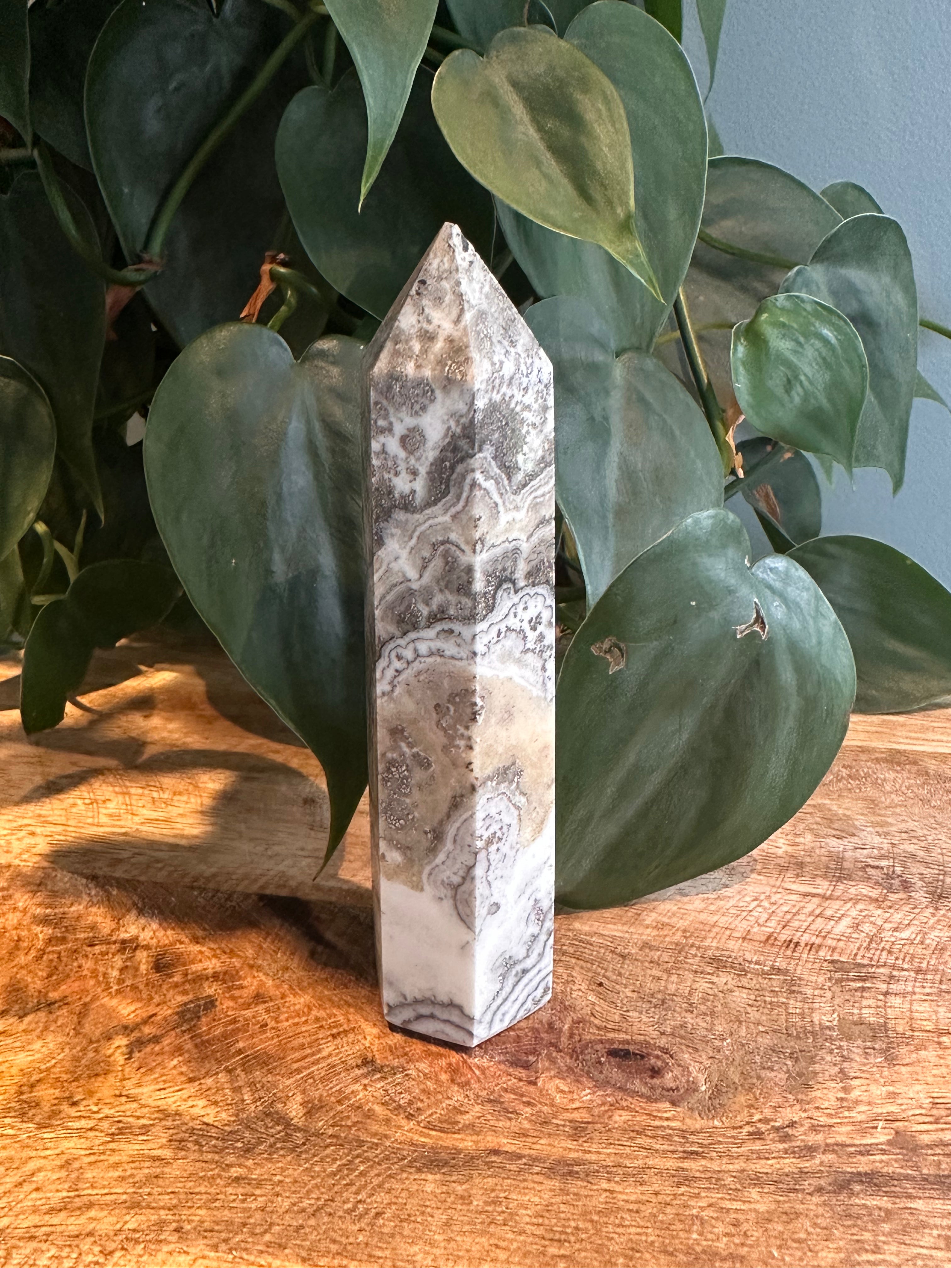 Dendriet Calciet