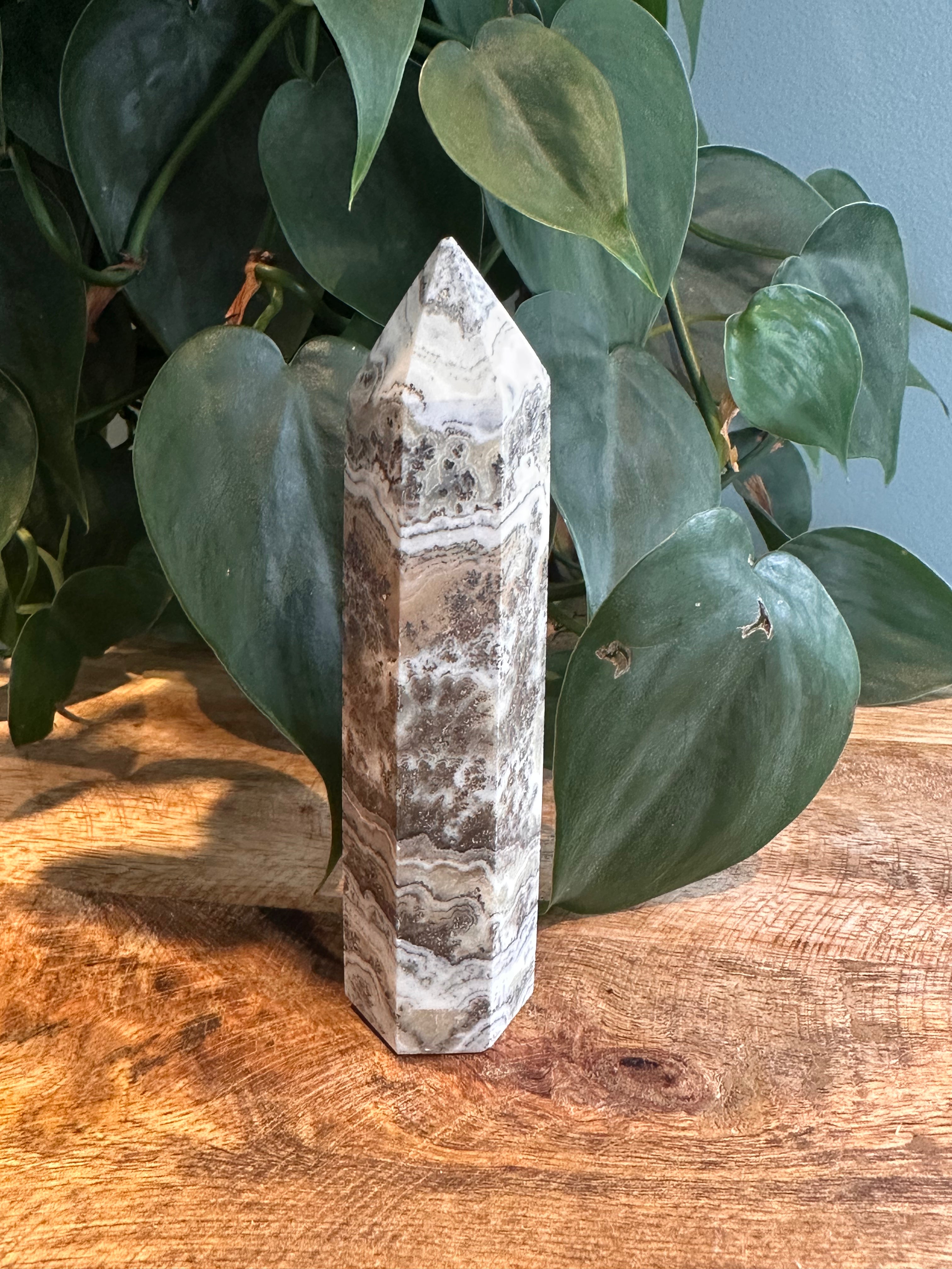 Dendriet Calciet