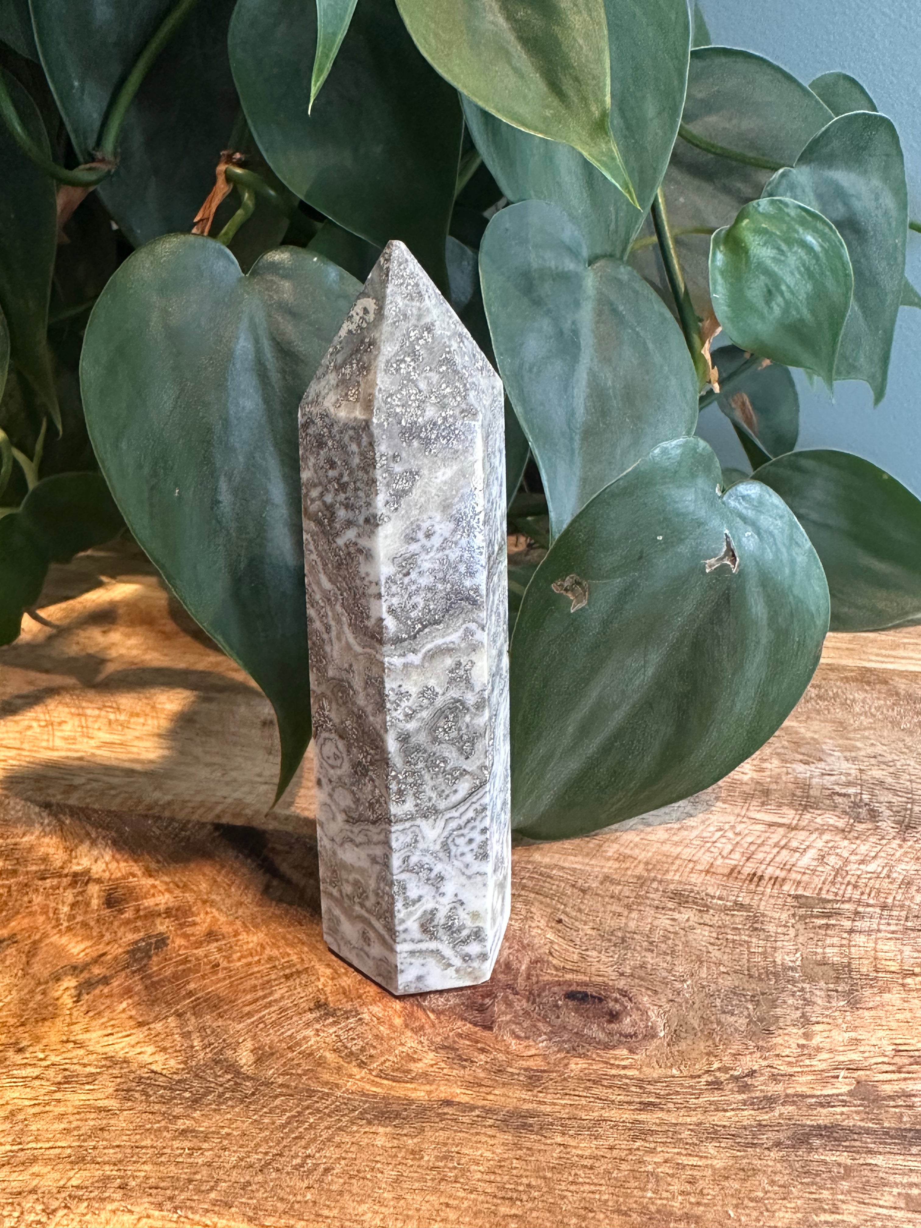 Dendriet Calciet