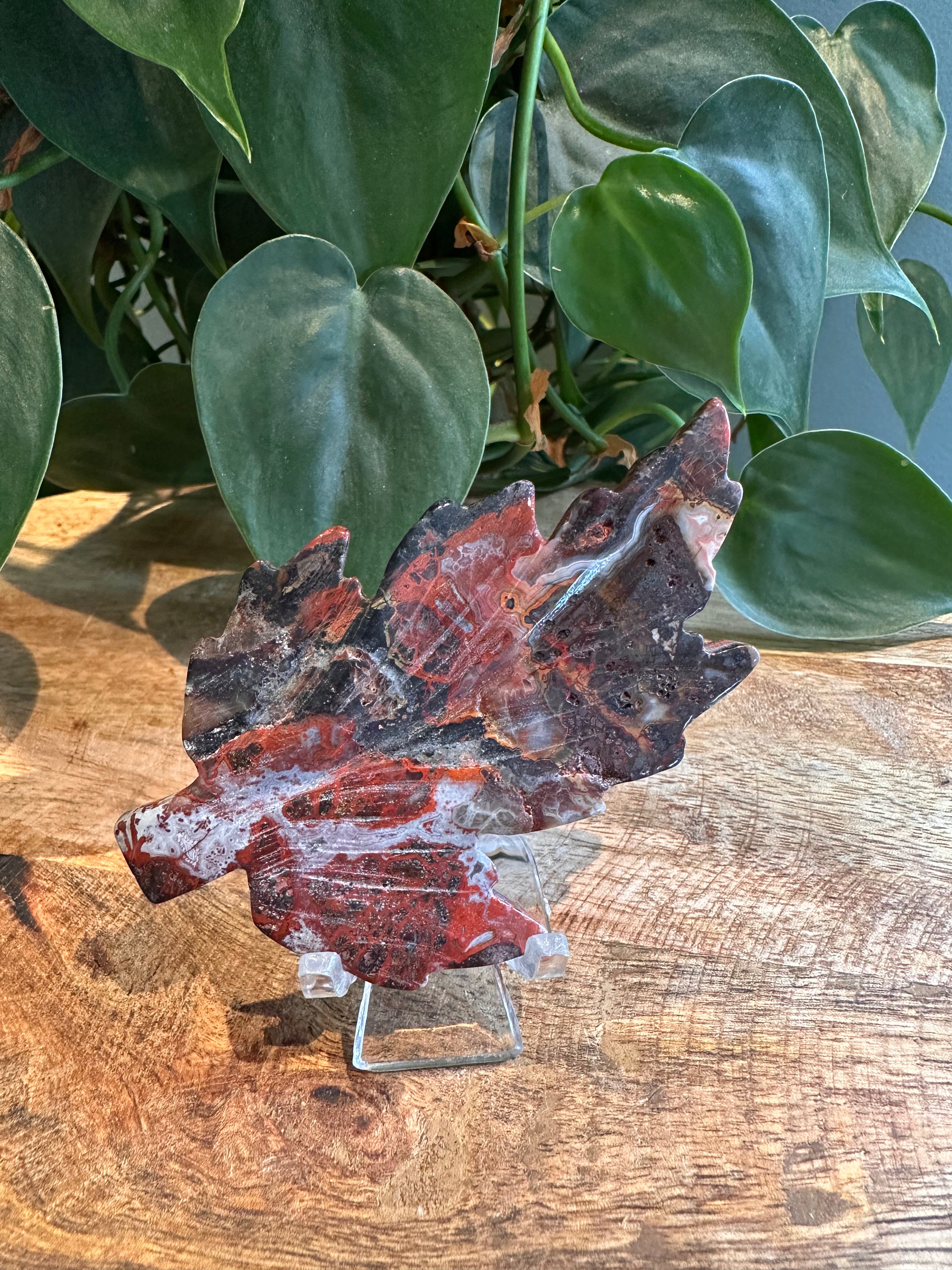 Mexicaanse Agaat Blaadjes