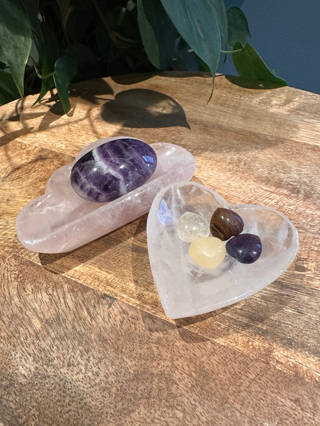 Rozenkwarts schaaltjes