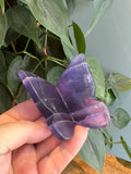 Vlinder XL