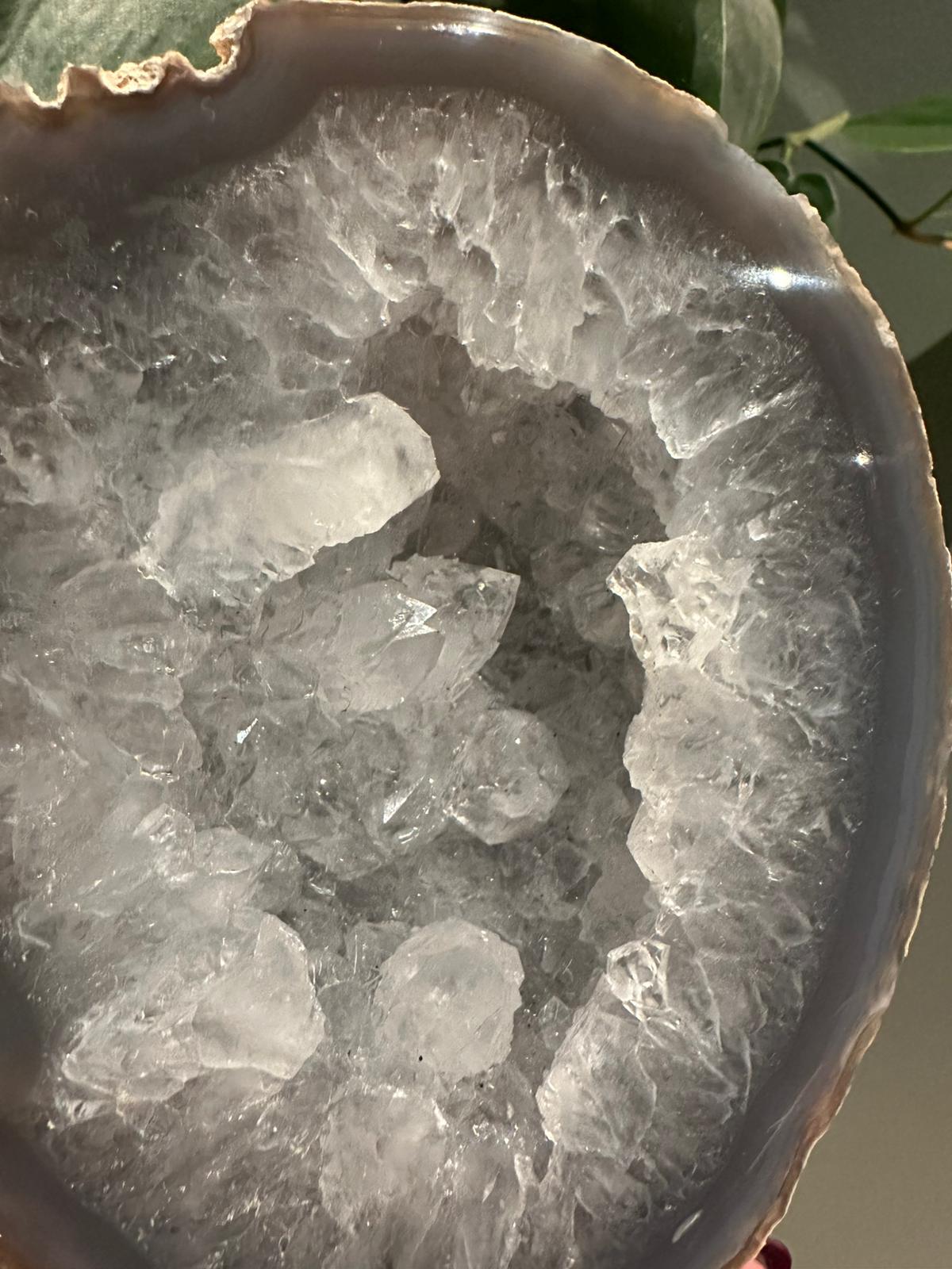 Agaat op standaard #5