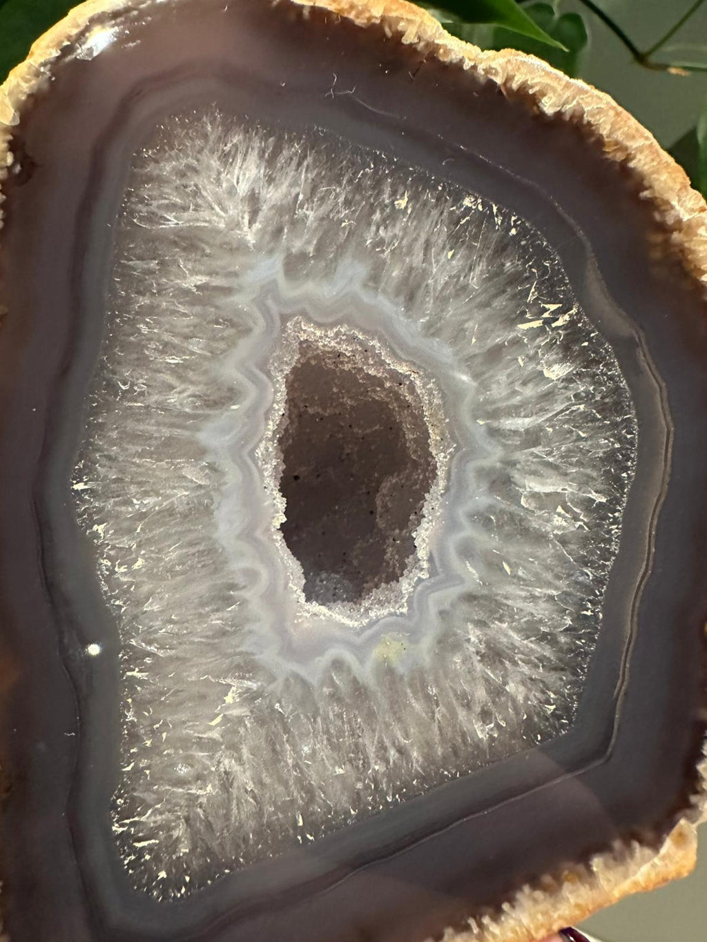 Agaat op standaard #6