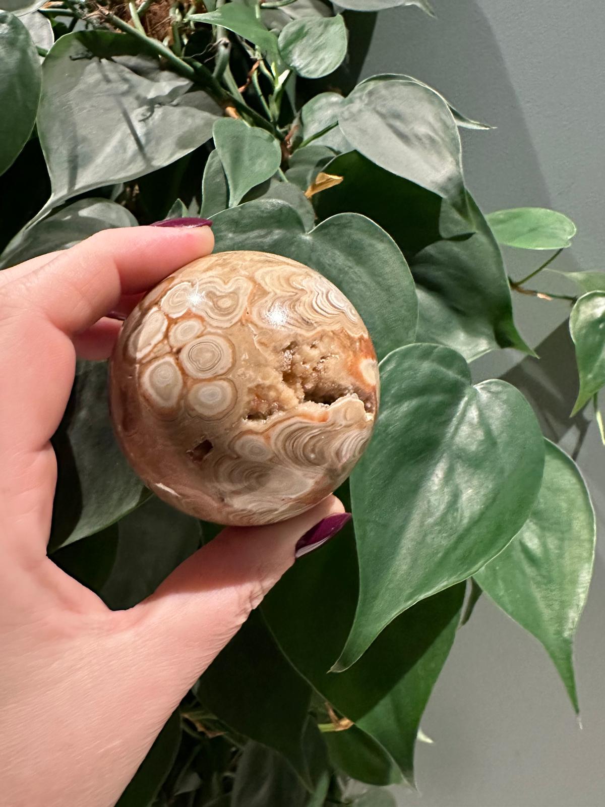 Chocolade Calciet Sphere met kleine druzy