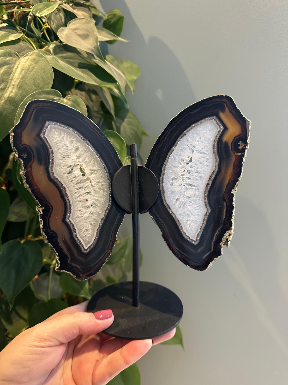 Agaat Vlinder op Standaard #11