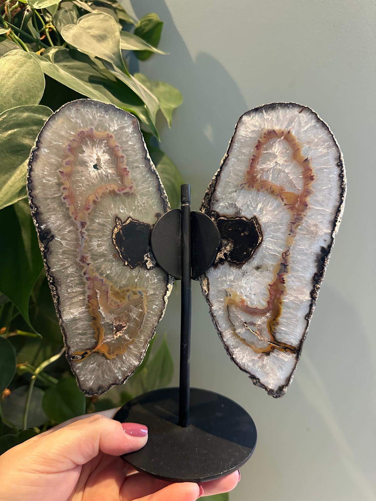 Agaat Vlinder op Standaard #12