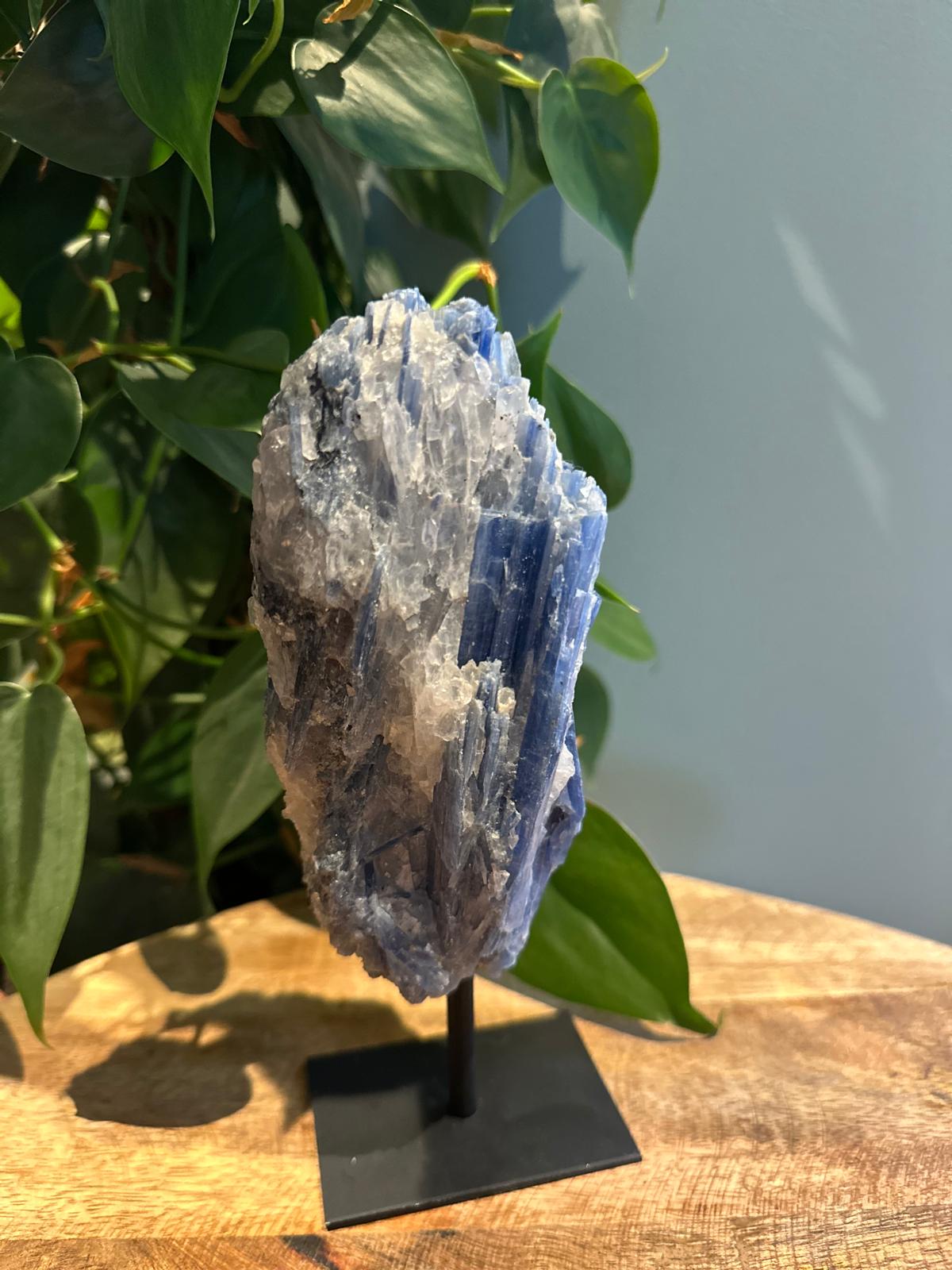 Kyaniet op Standaard #26