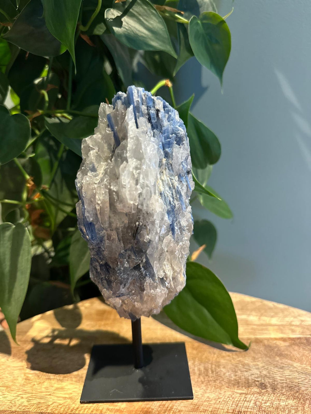 Kyaniet op Standaard #26