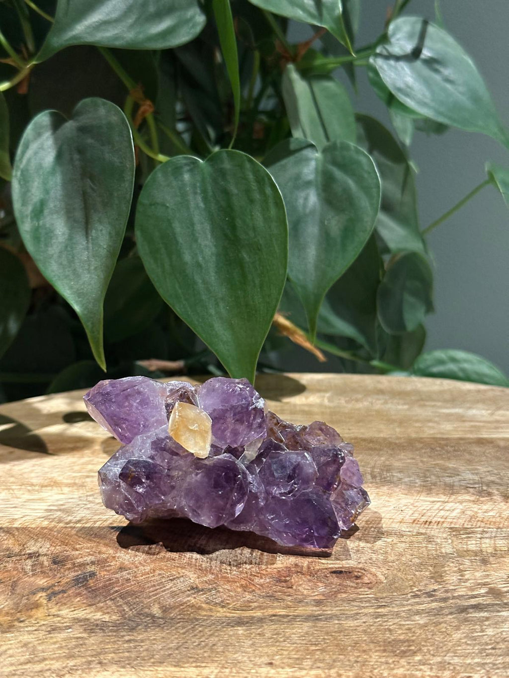 Amethist met Honing Calciet punt Freeform