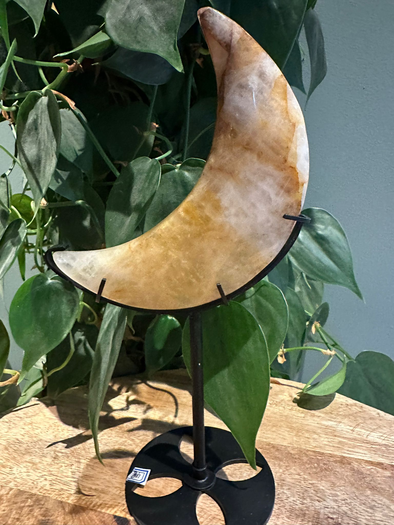 Golden Healer Maan op Standaard #34