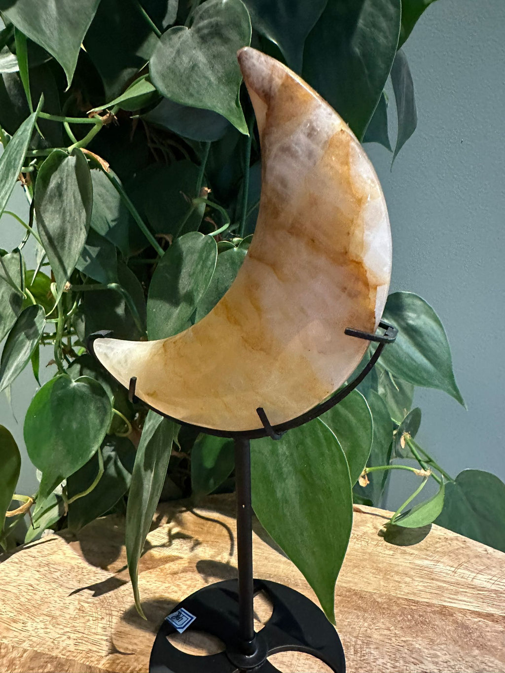 Golden Healer Maan op Standaard #34