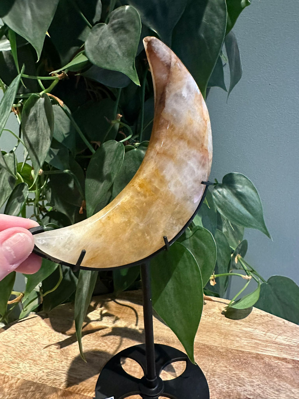 Golden Healer Maan op Standaard #34