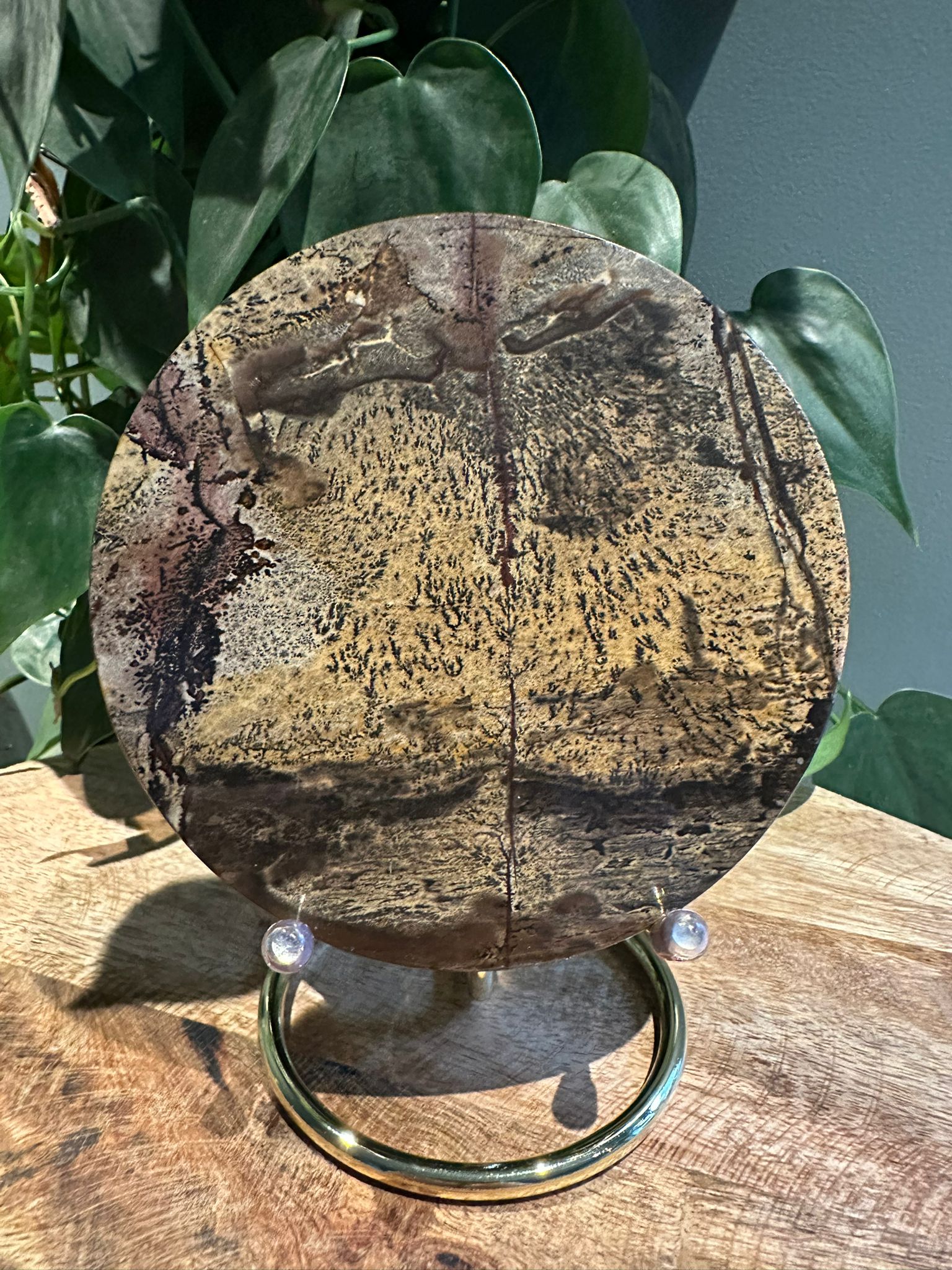 Landschap Jaspis schijf