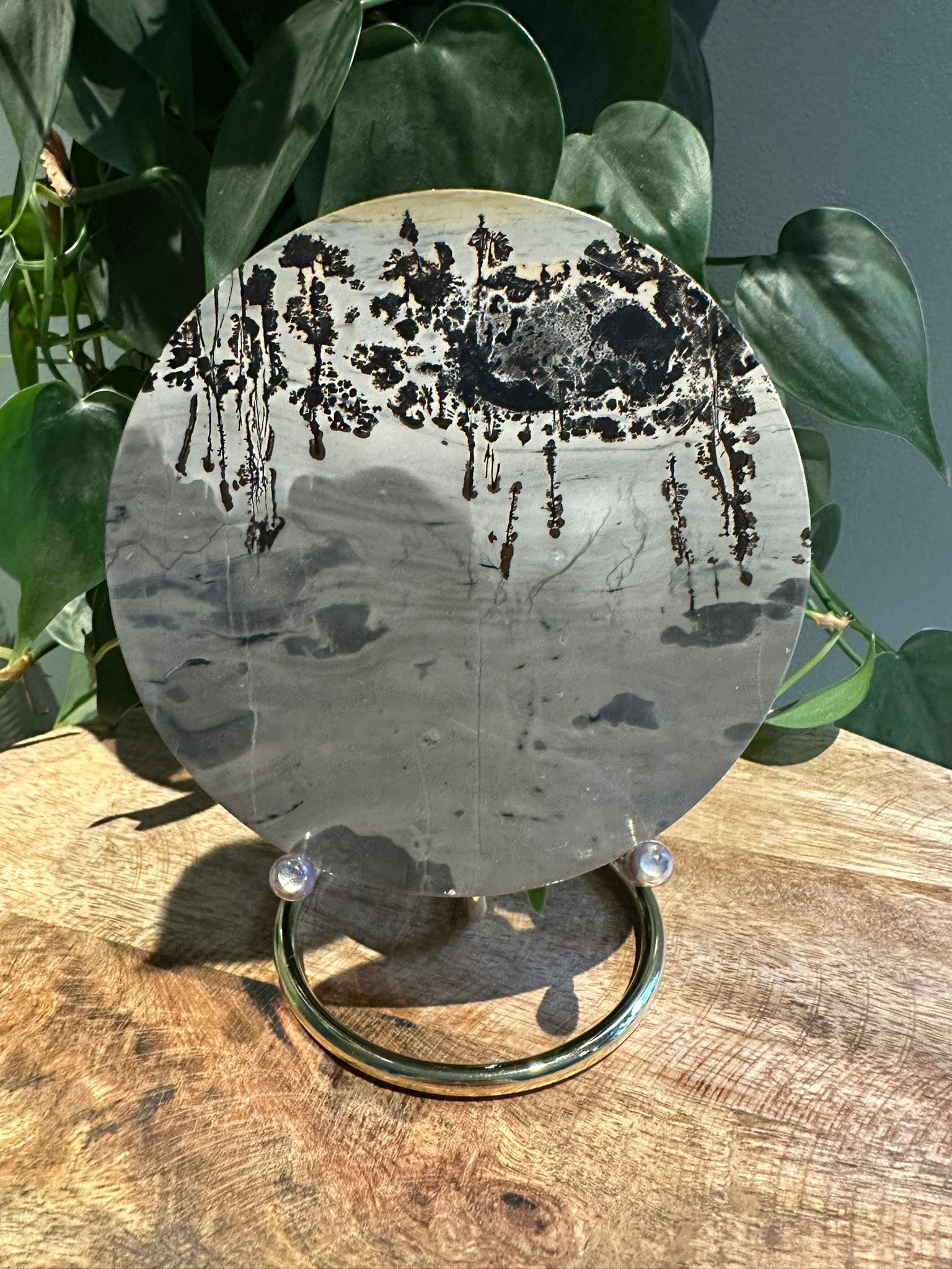 Landschap Jaspis schijf