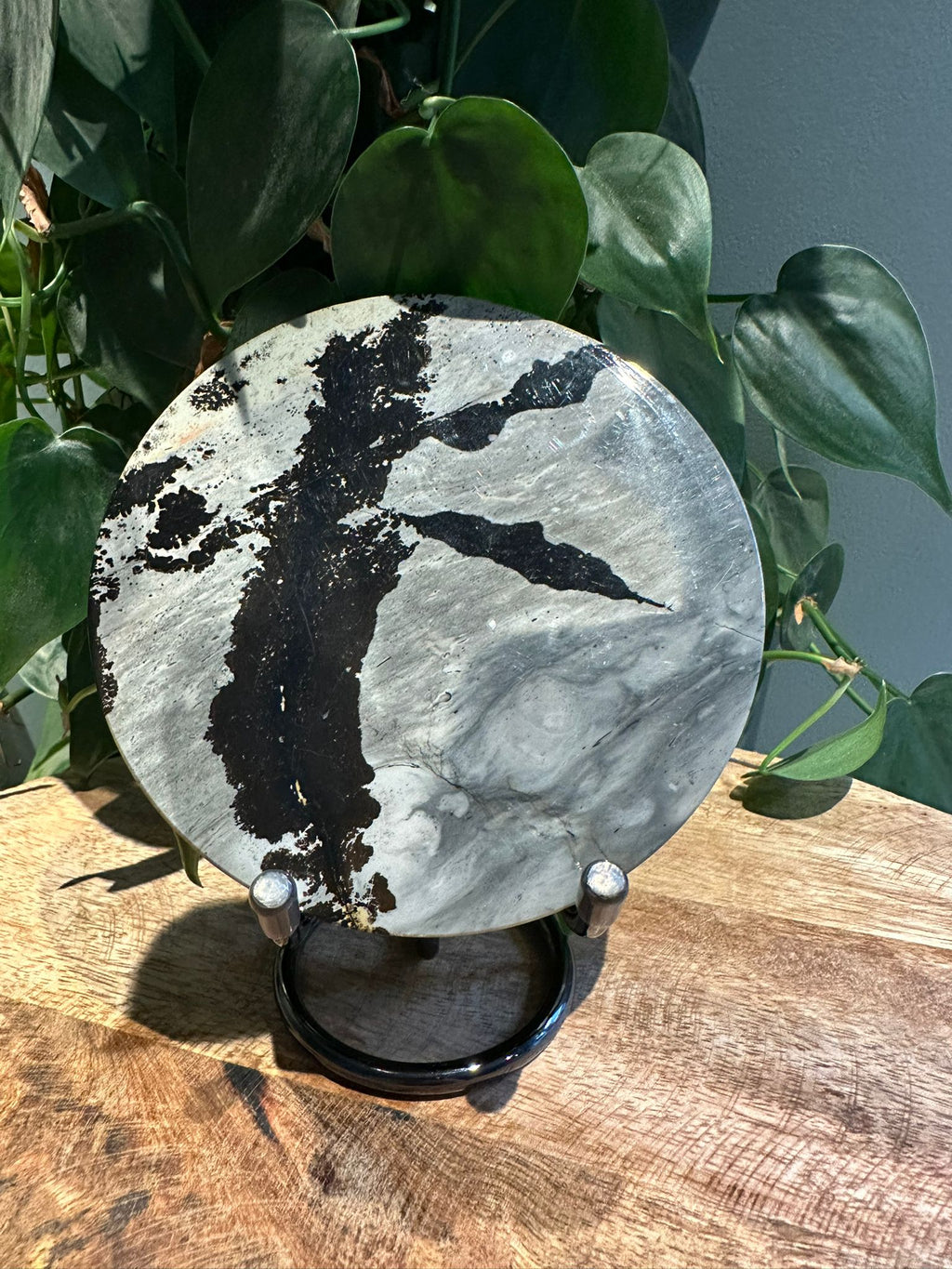 Landschap Jaspis schijf