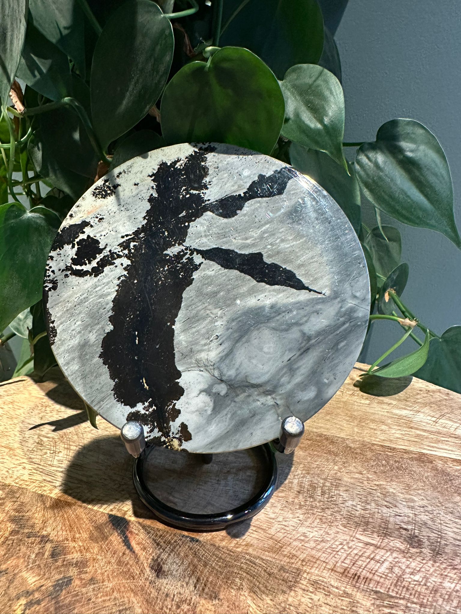 Landschap Jaspis schijf