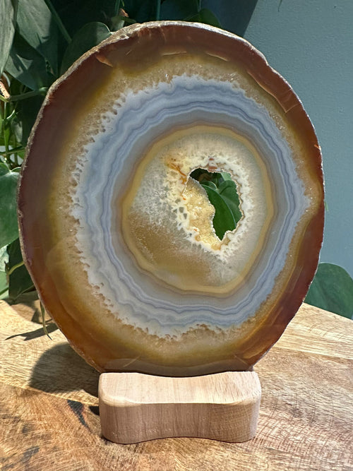 Agaat Schijf #1