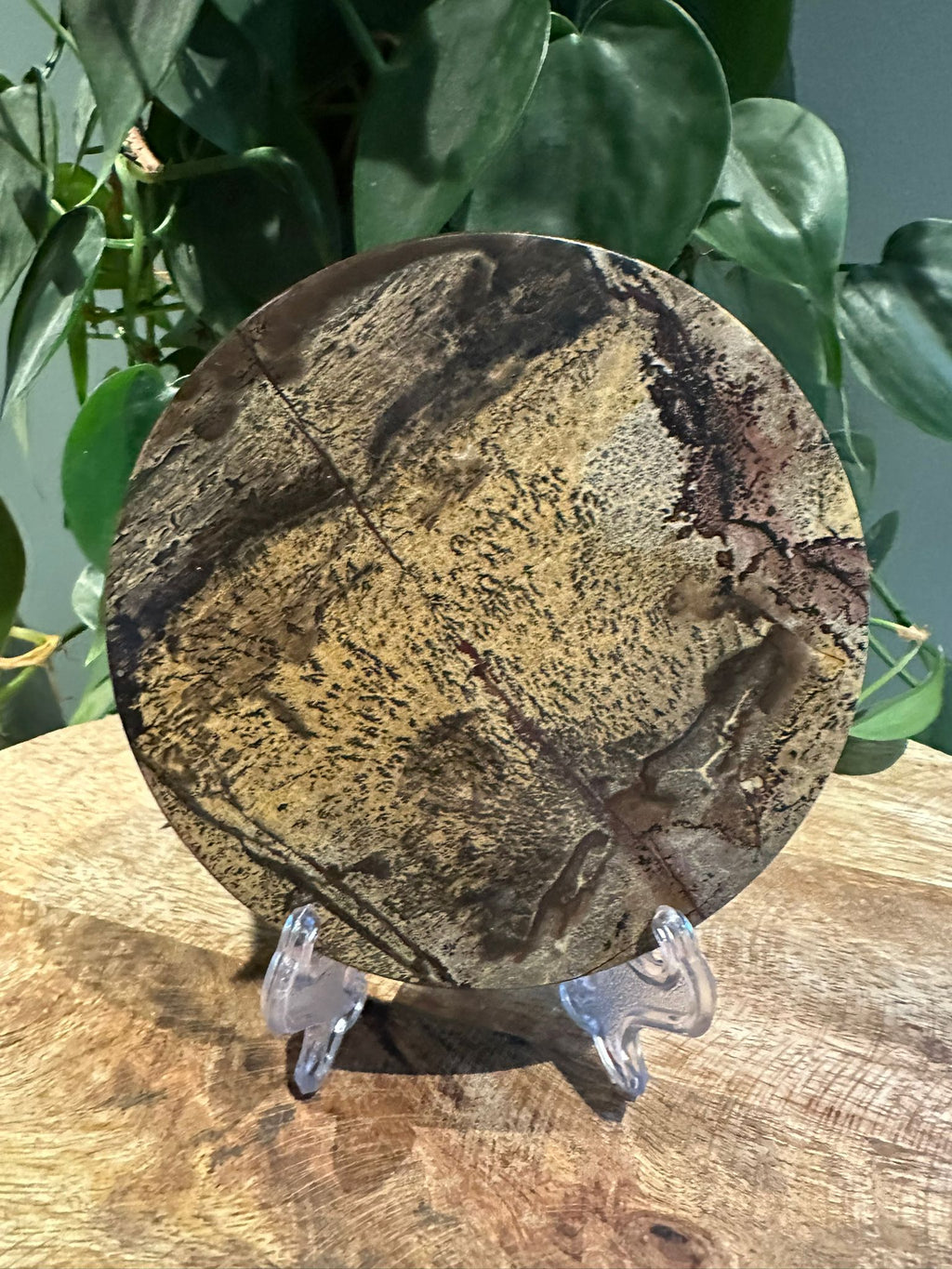 Landschap Jaspis schijf