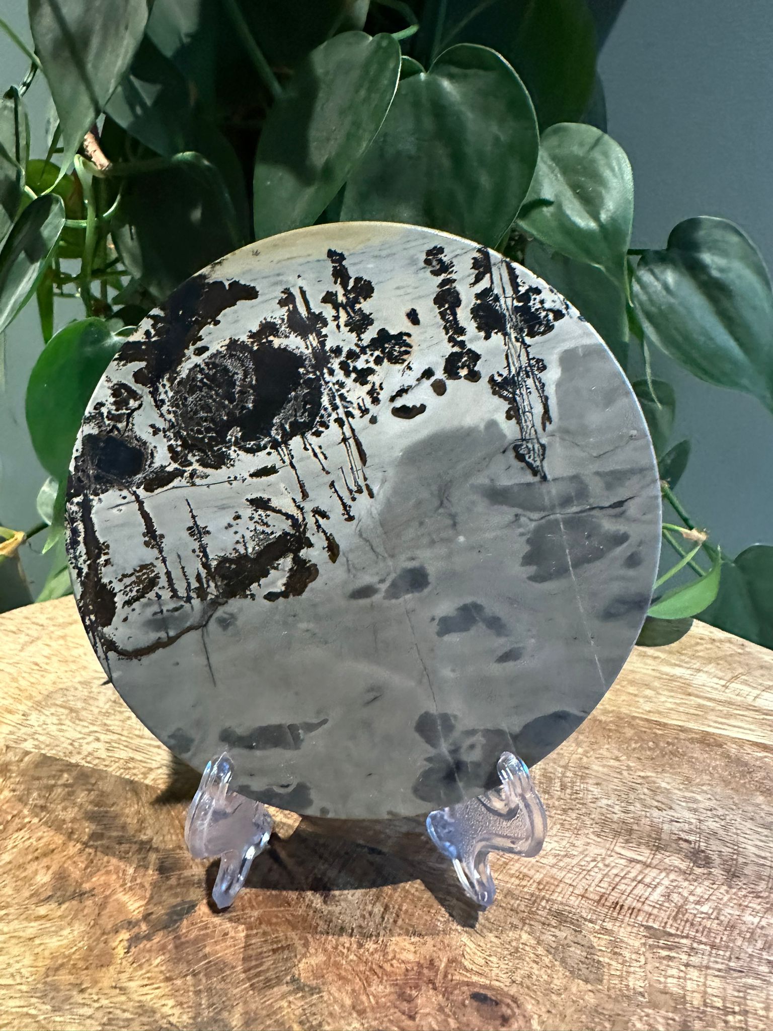 Landschap Jaspis schijf