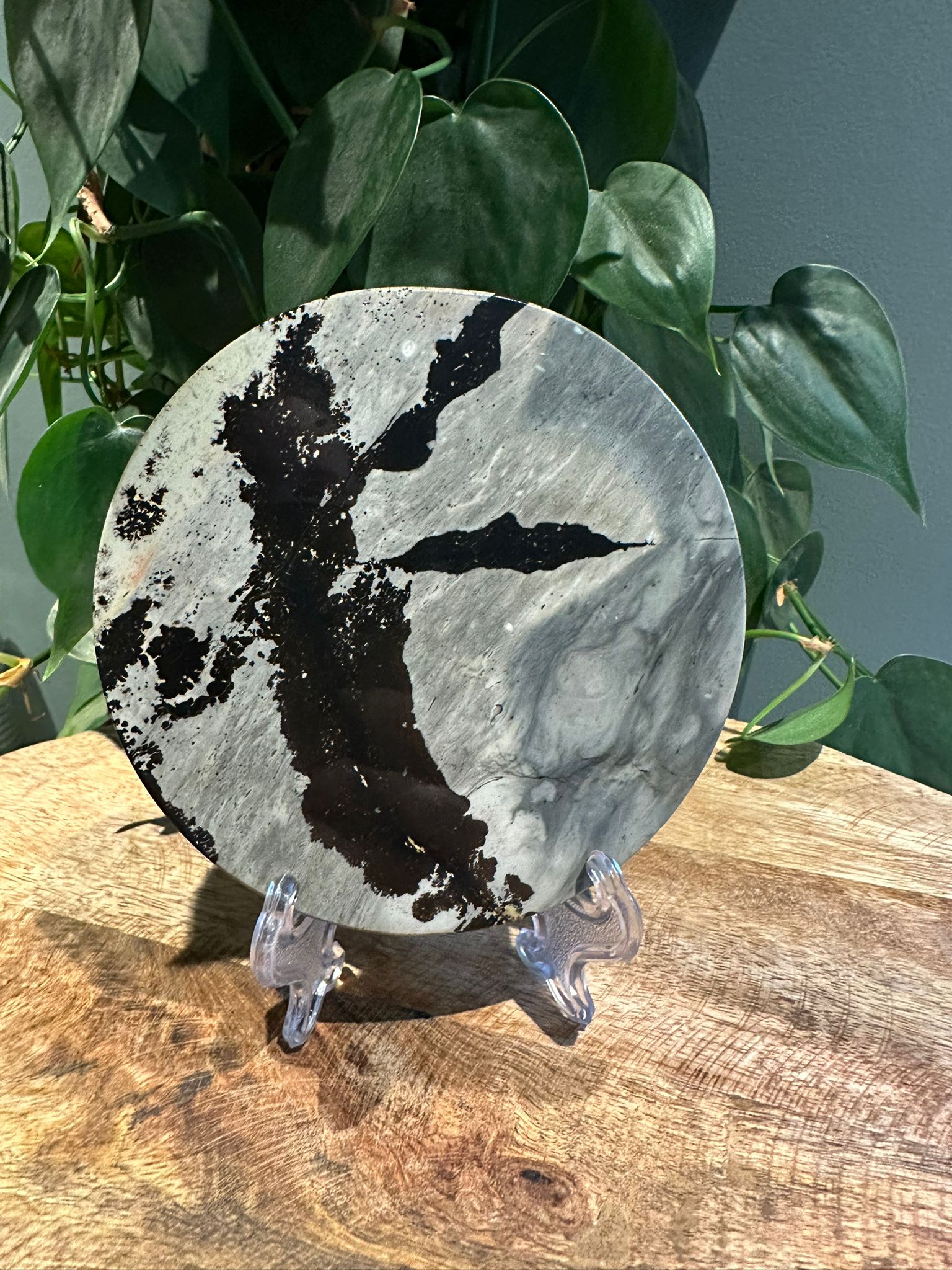 Landschap Jaspis schijf