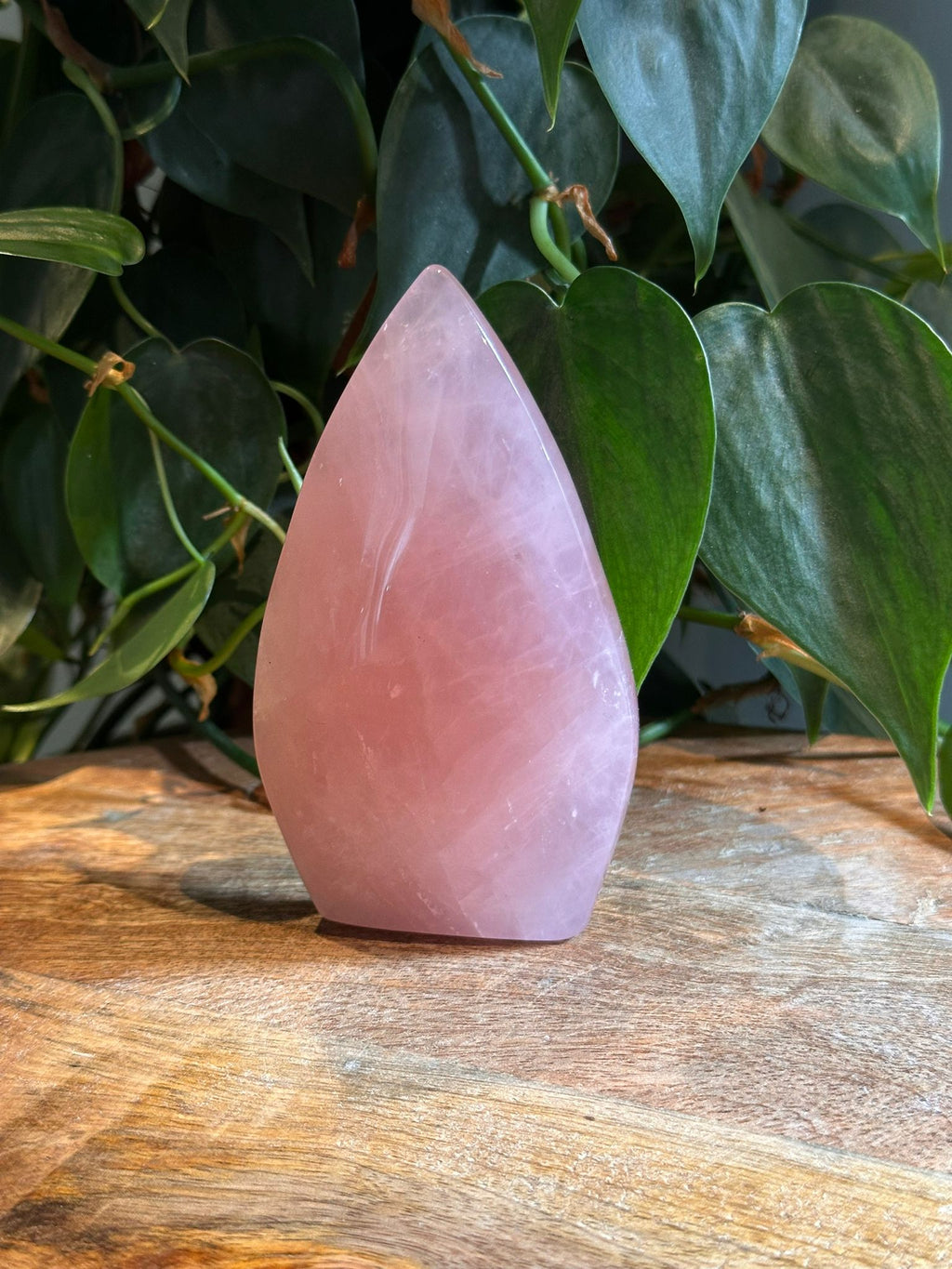 Rozenkwarts Druppel