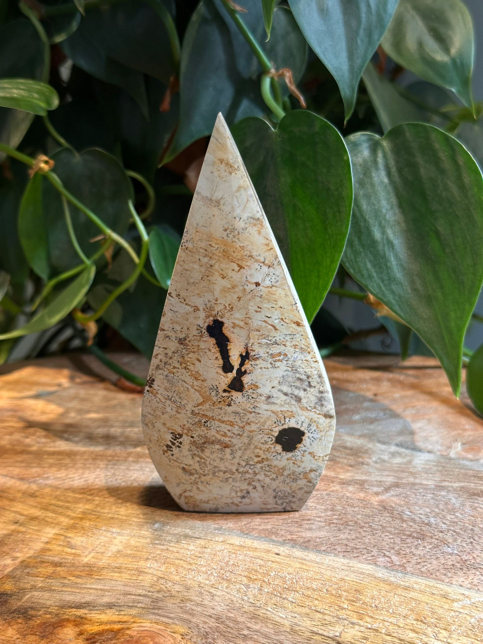 Landschap Jaspis Druppel