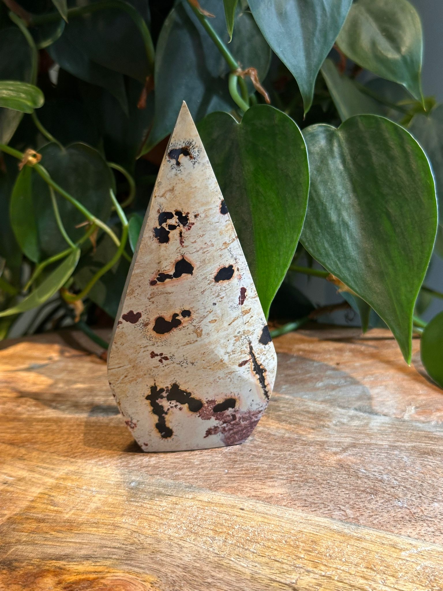 Landschap Jaspis Druppel