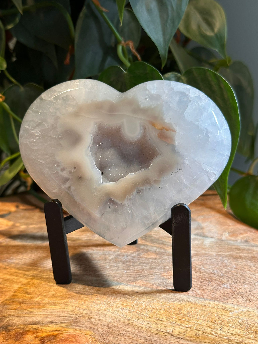 Agaat Hart op Standaard #37