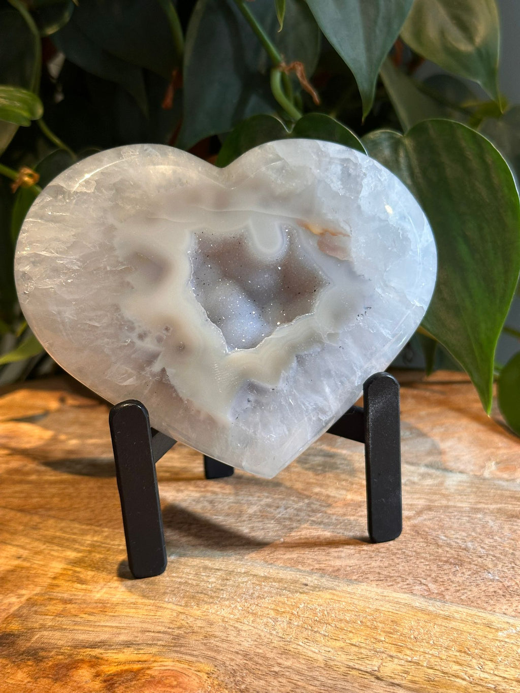 Agaat Hart op Standaard #37